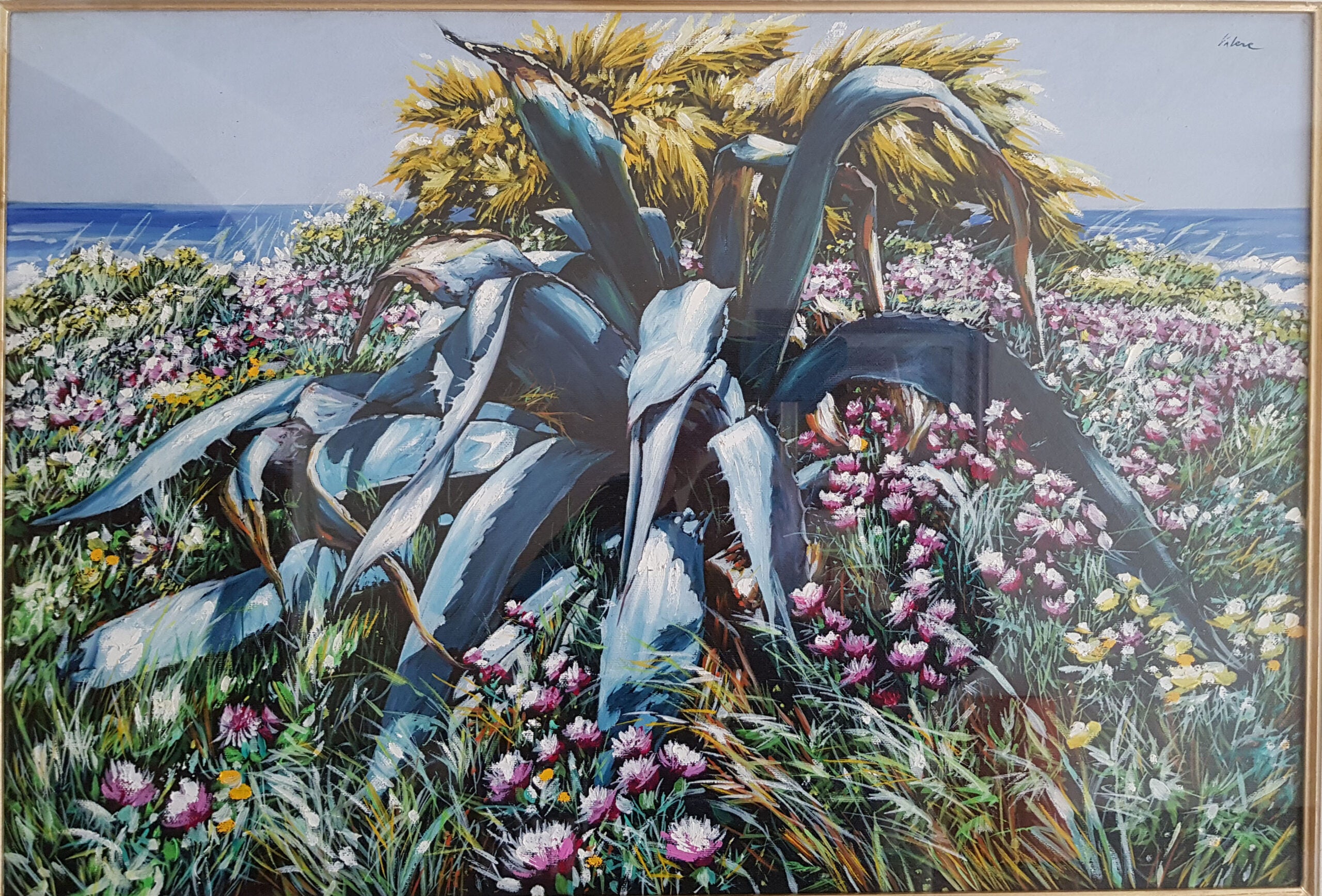 Author Unknown - Agave