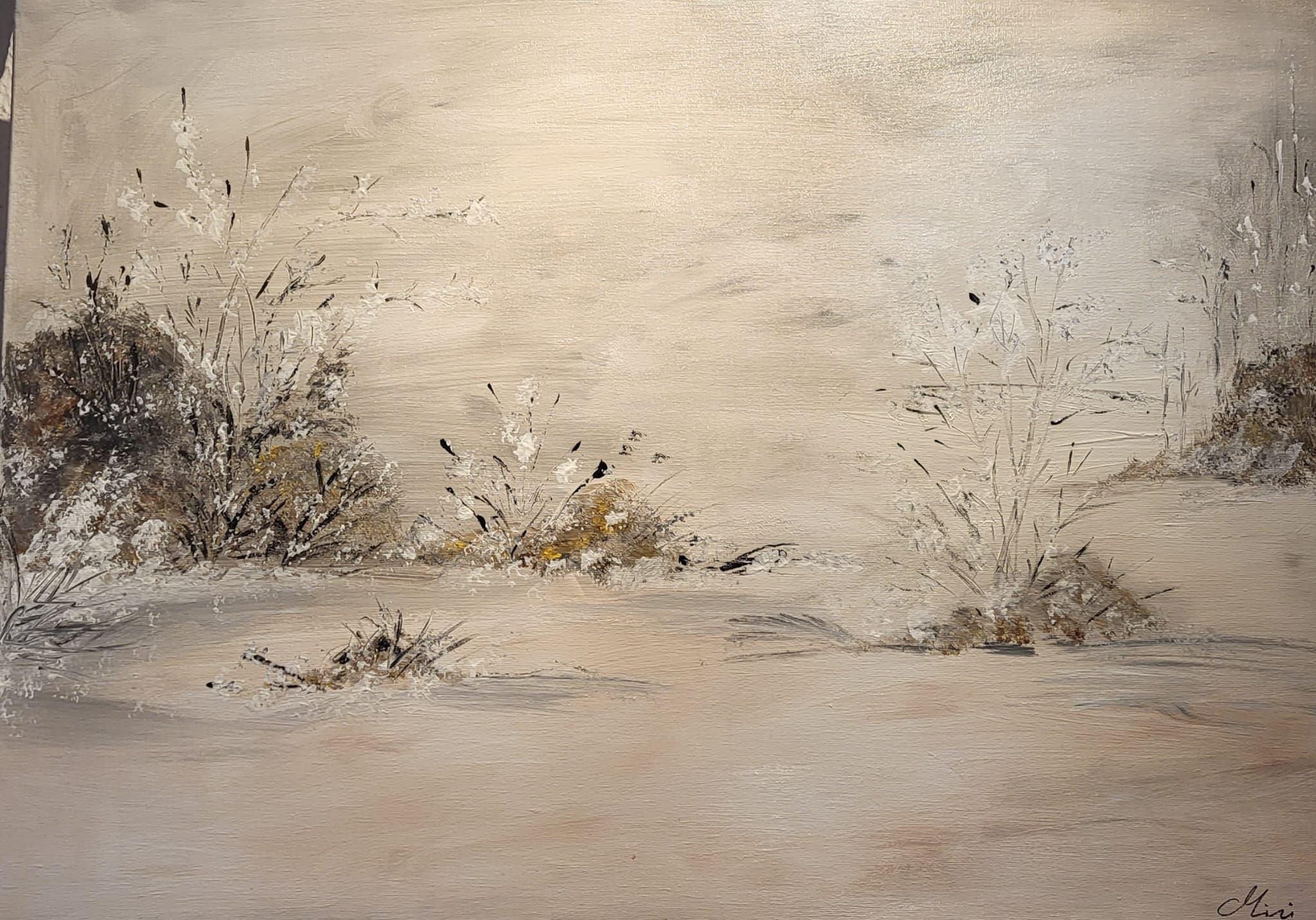 SNOW IN THE COUNTRYSIDE