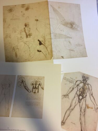 Leonardo Da Vinci - I Cento disegni più belli ( Anatomia e studi di Natura) - Giunti Treccani