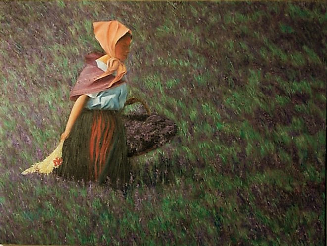 girl in a lavender field