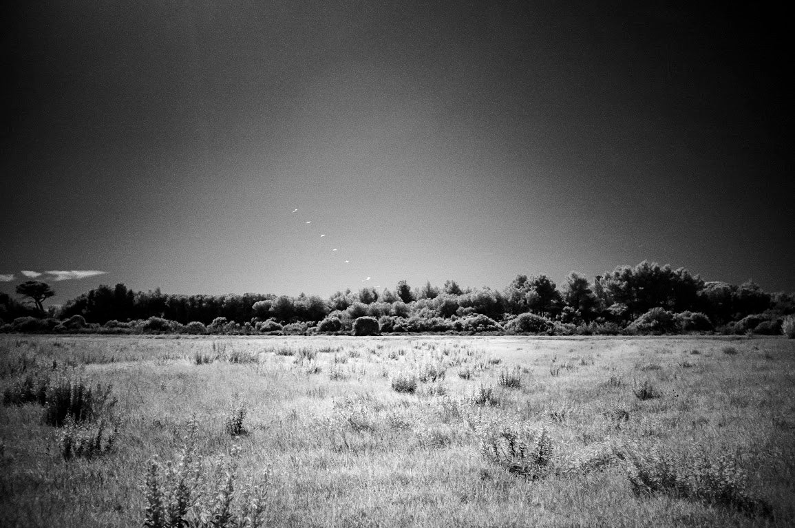 Lucio Barabesi - Untitled