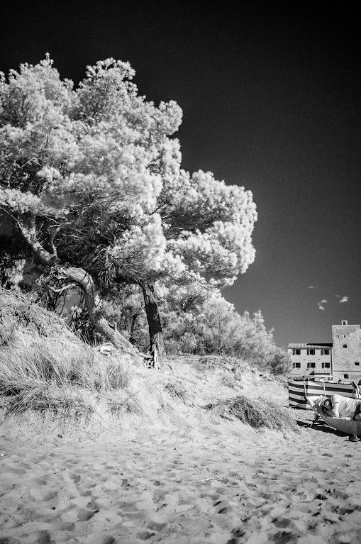 Lucio Barabesi - Untitled