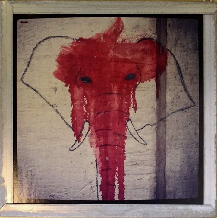 Federico Silvi - Red Elephant