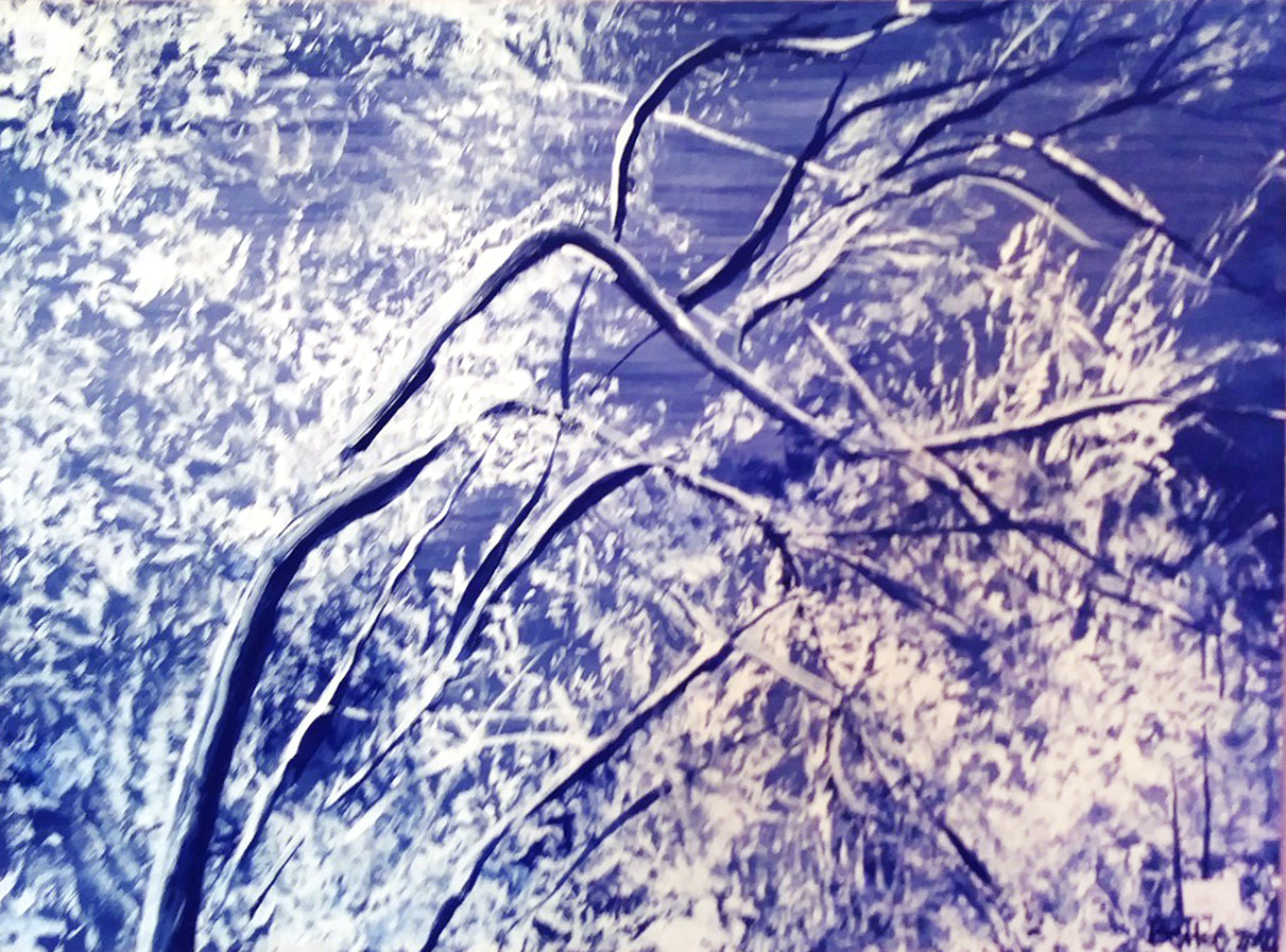 Elvia Roggero - Rama Azul, Invierno
