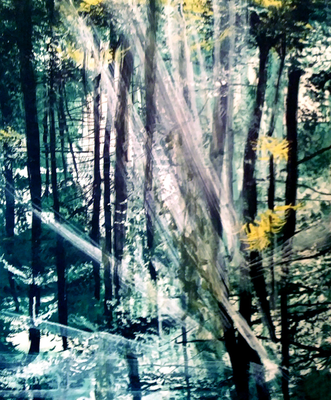 Elvia Roggero-Bosco