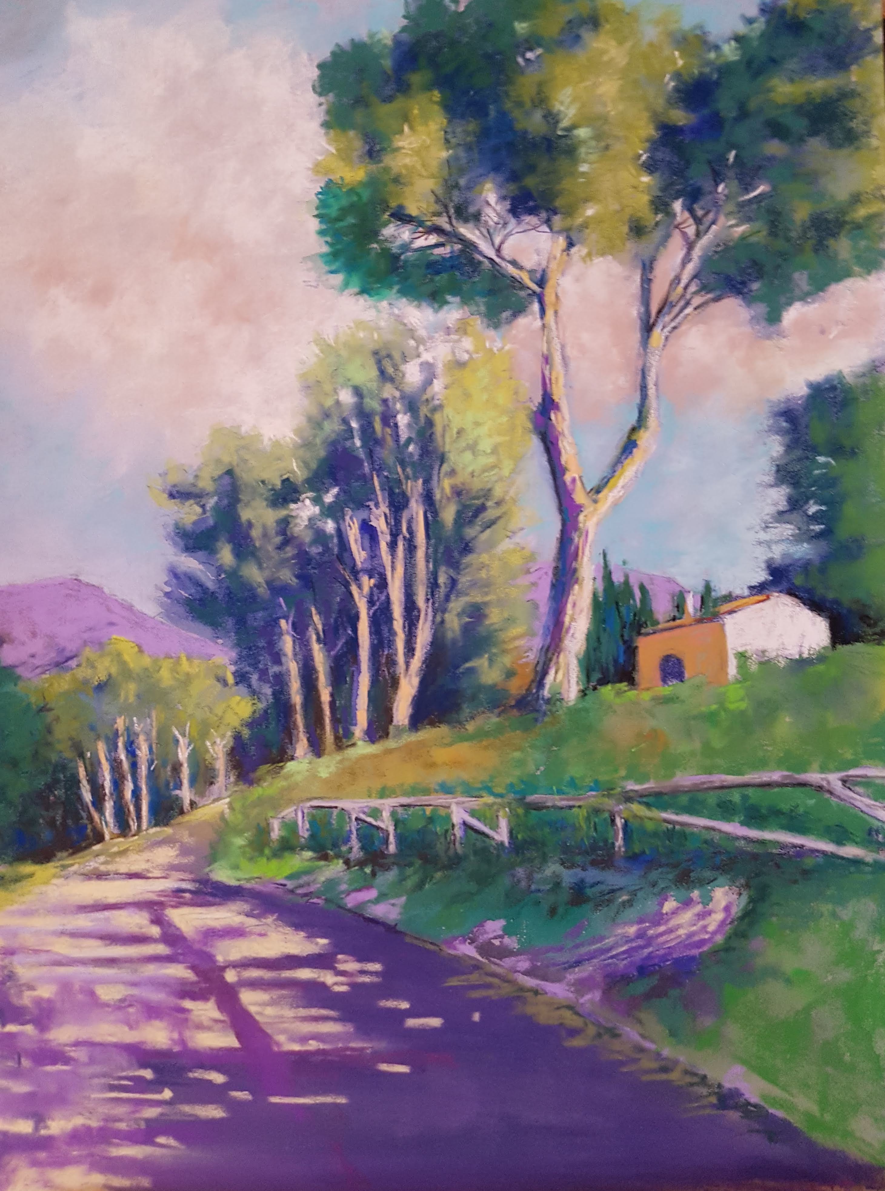 Passeggiata tra i pini