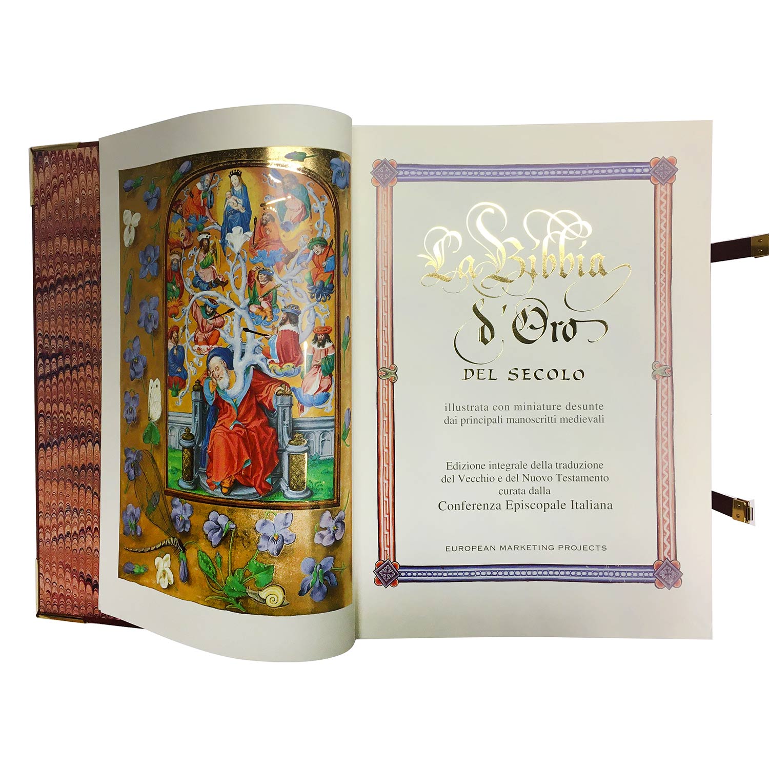 The Golden Bible of the Century - Scrinium