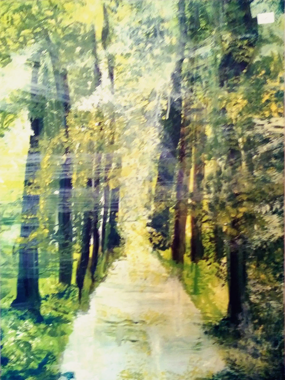 Elvia Roggero - Bosque Verde