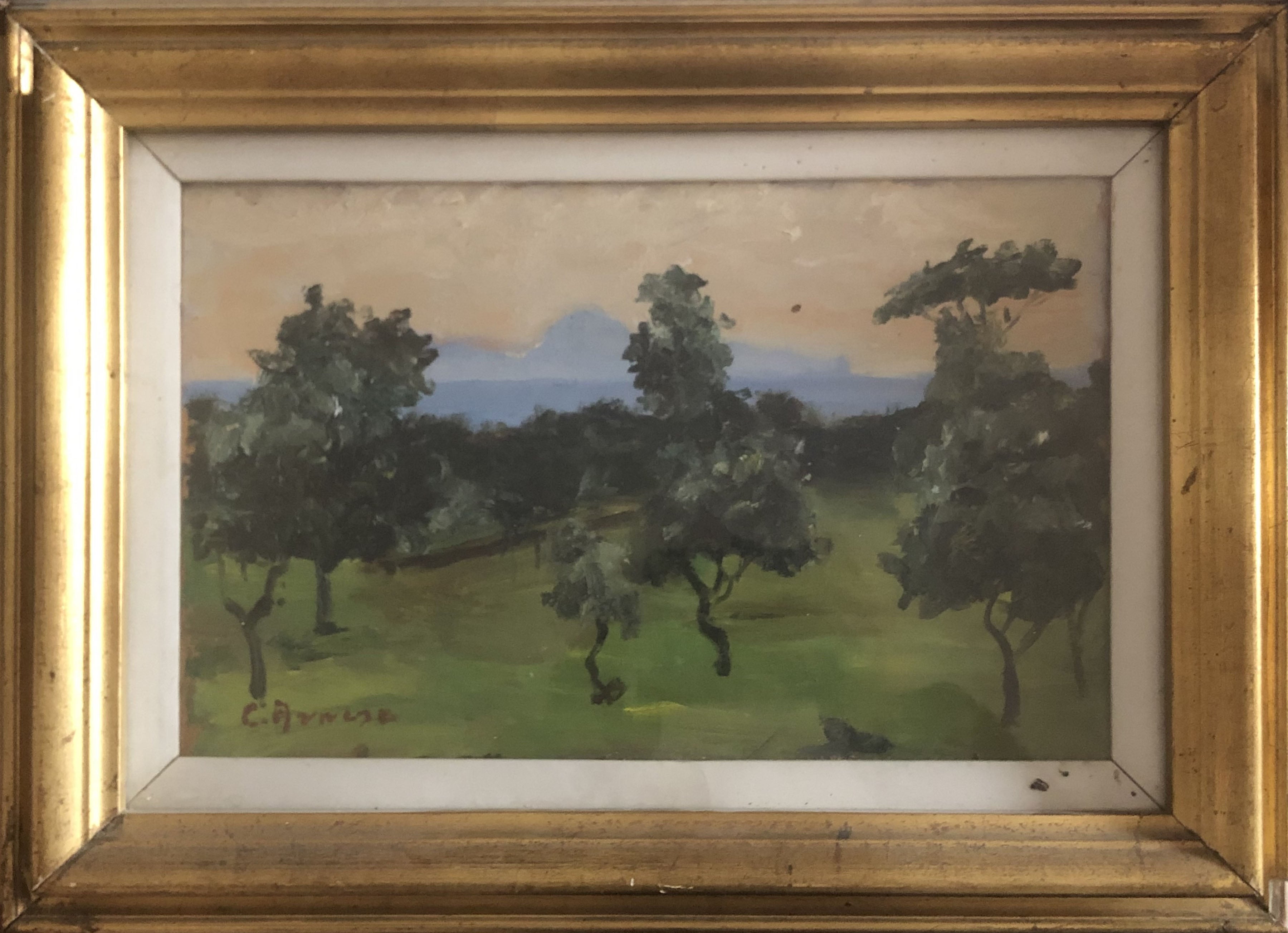 Carmine Arnese - Sunset at Bellavista
