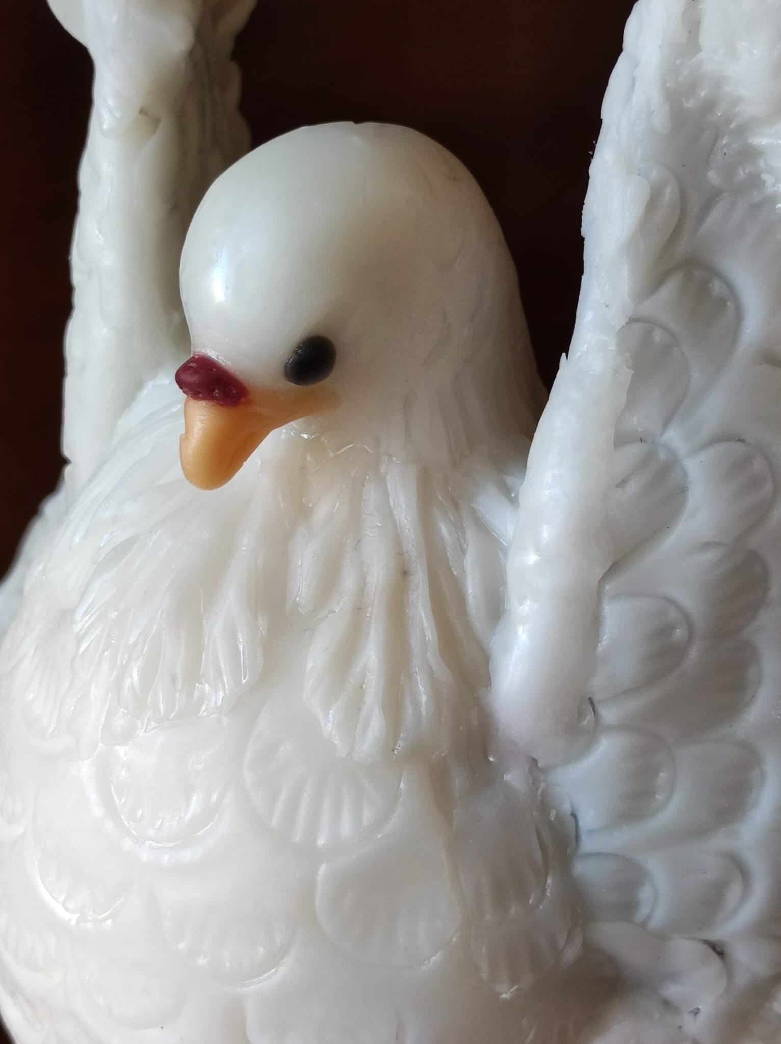 Paloma