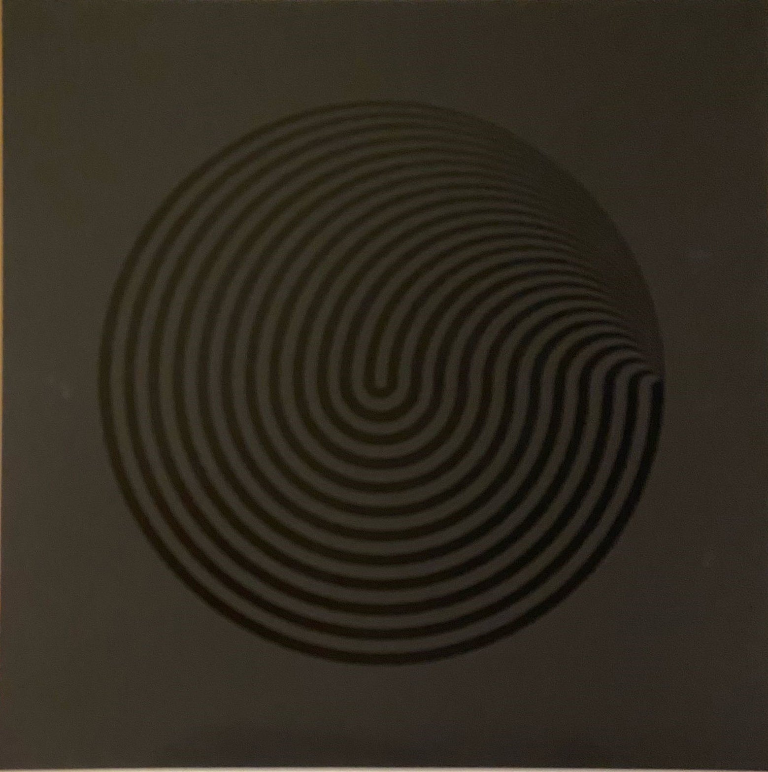 Marina Apollonio - Untitled