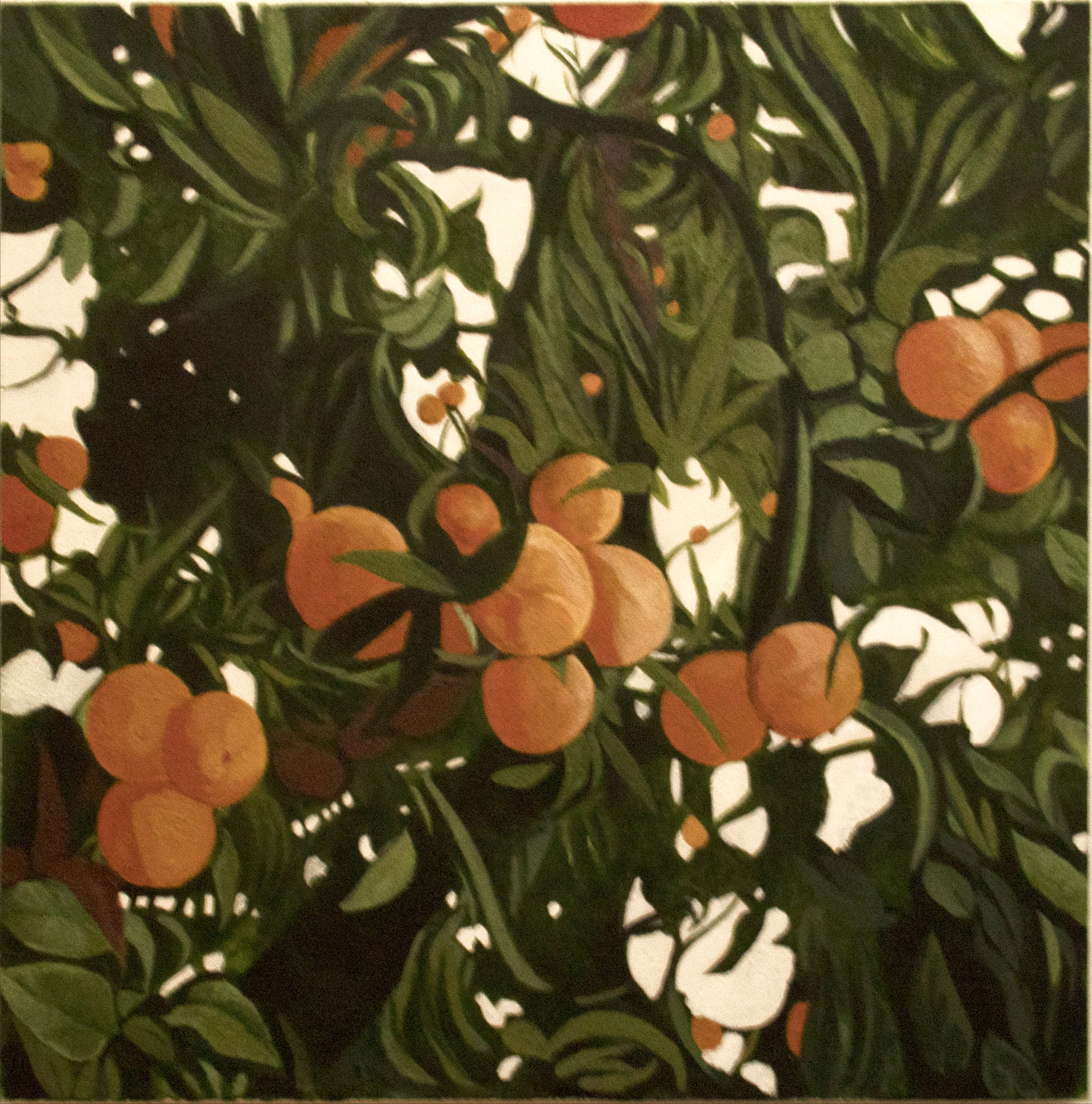 Bianca De Maio - Sorrento Garden