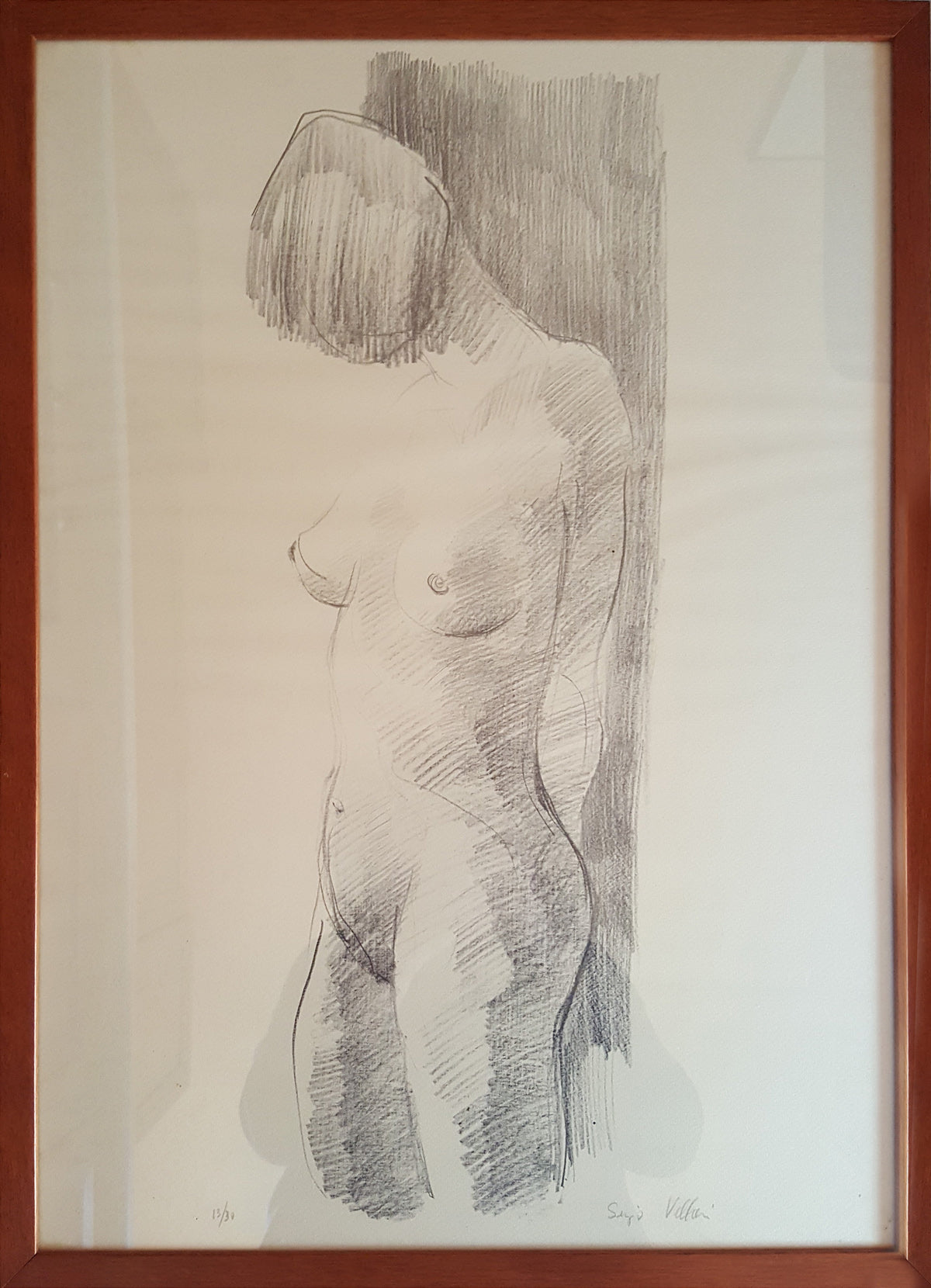 Sergio Vellani - Collezione