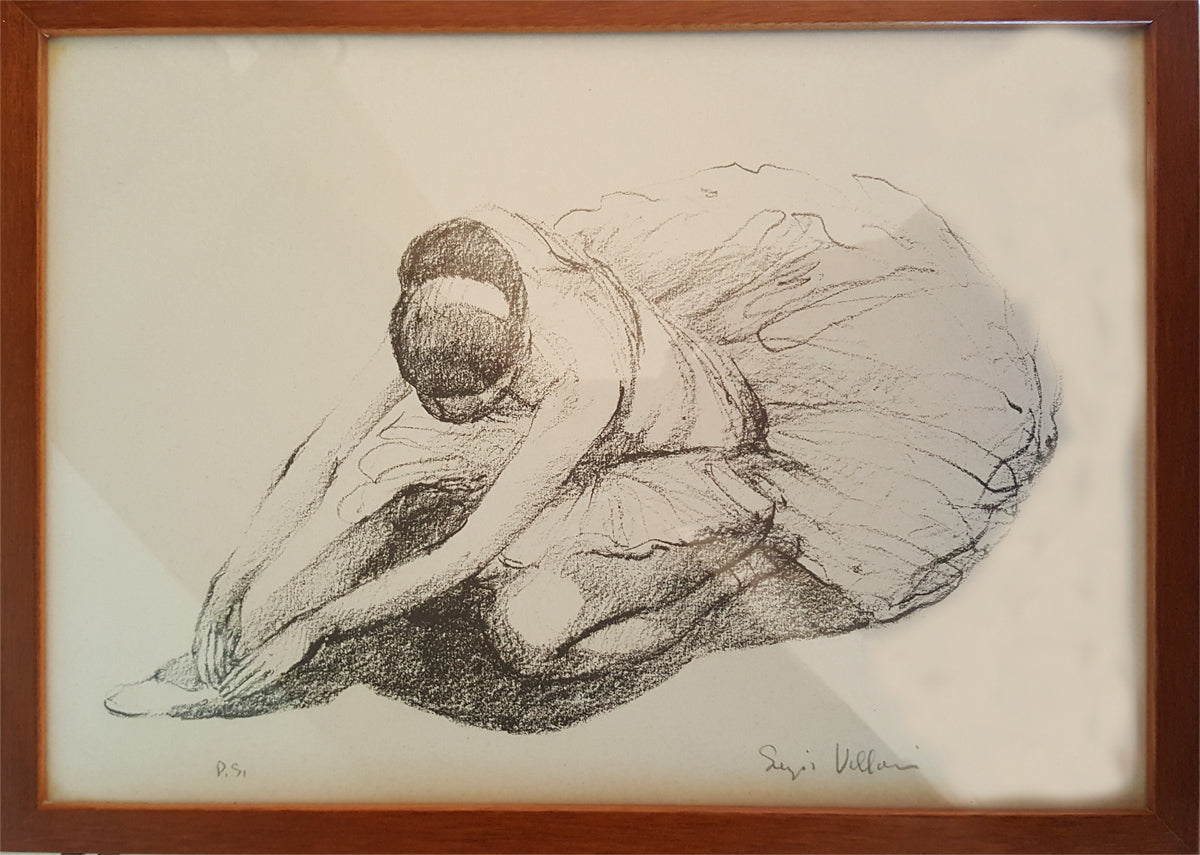 Sergio Vellani - Collezione