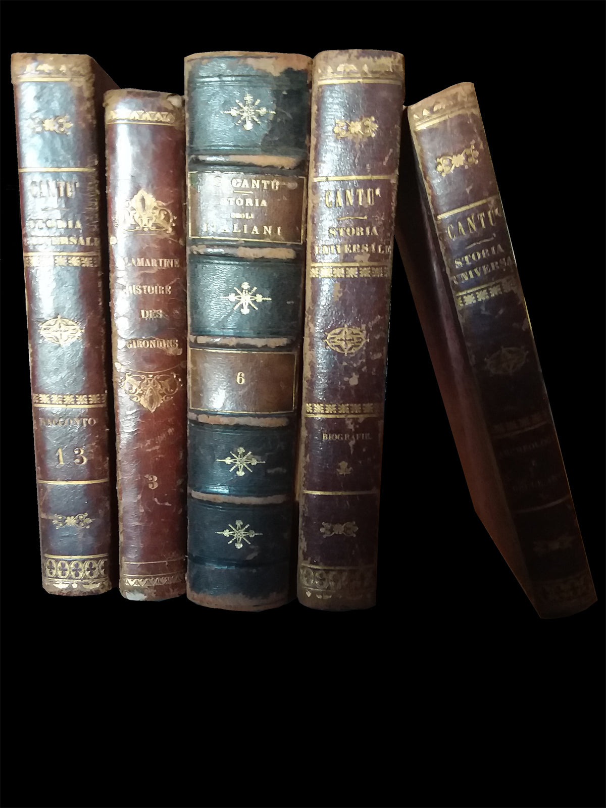 Volúmenes de la Biblioteca Saboya en el Palacio Stupinigi
