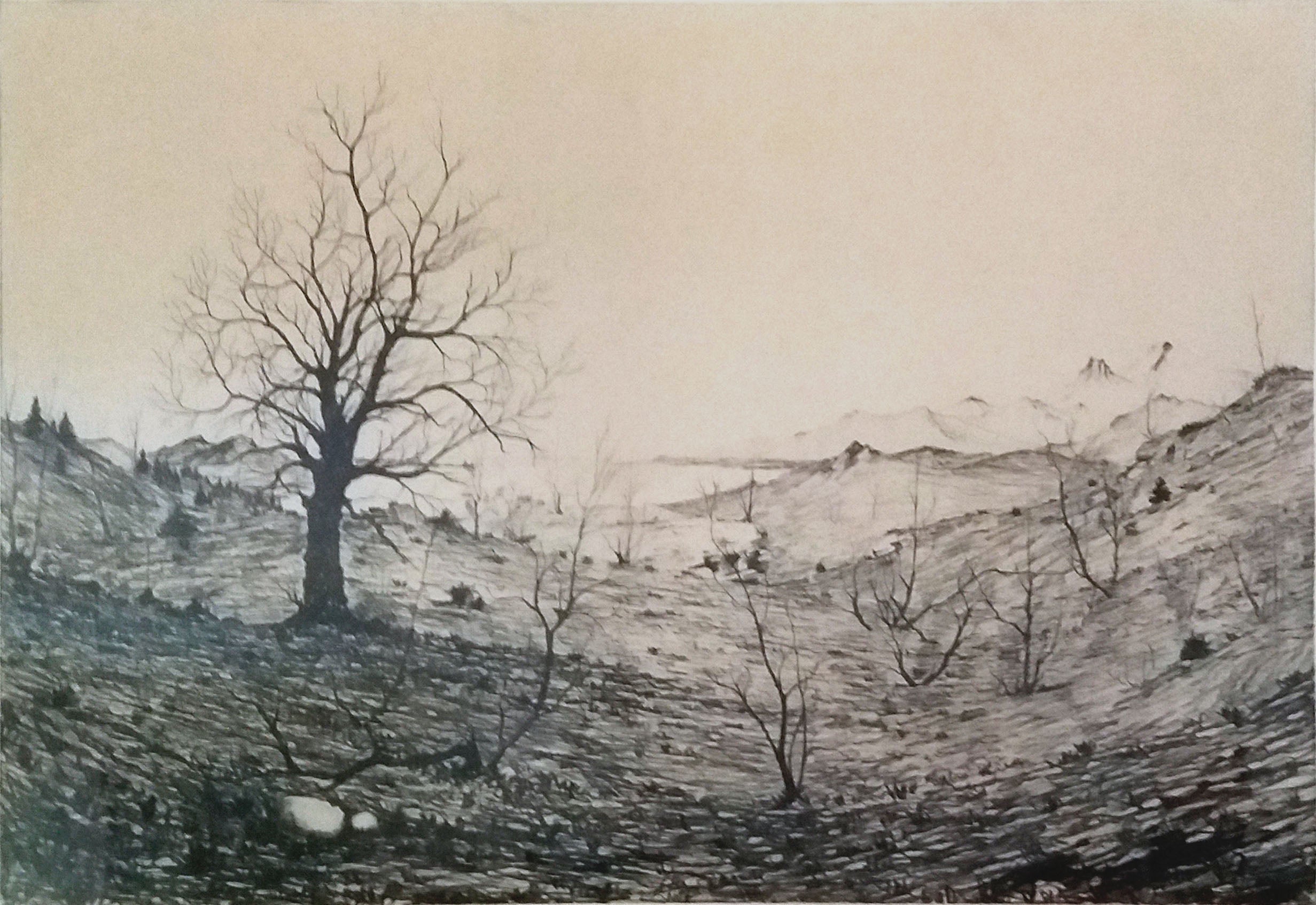 Piergianni Cedraschi - Vislumbre de un paisaje de montaña
