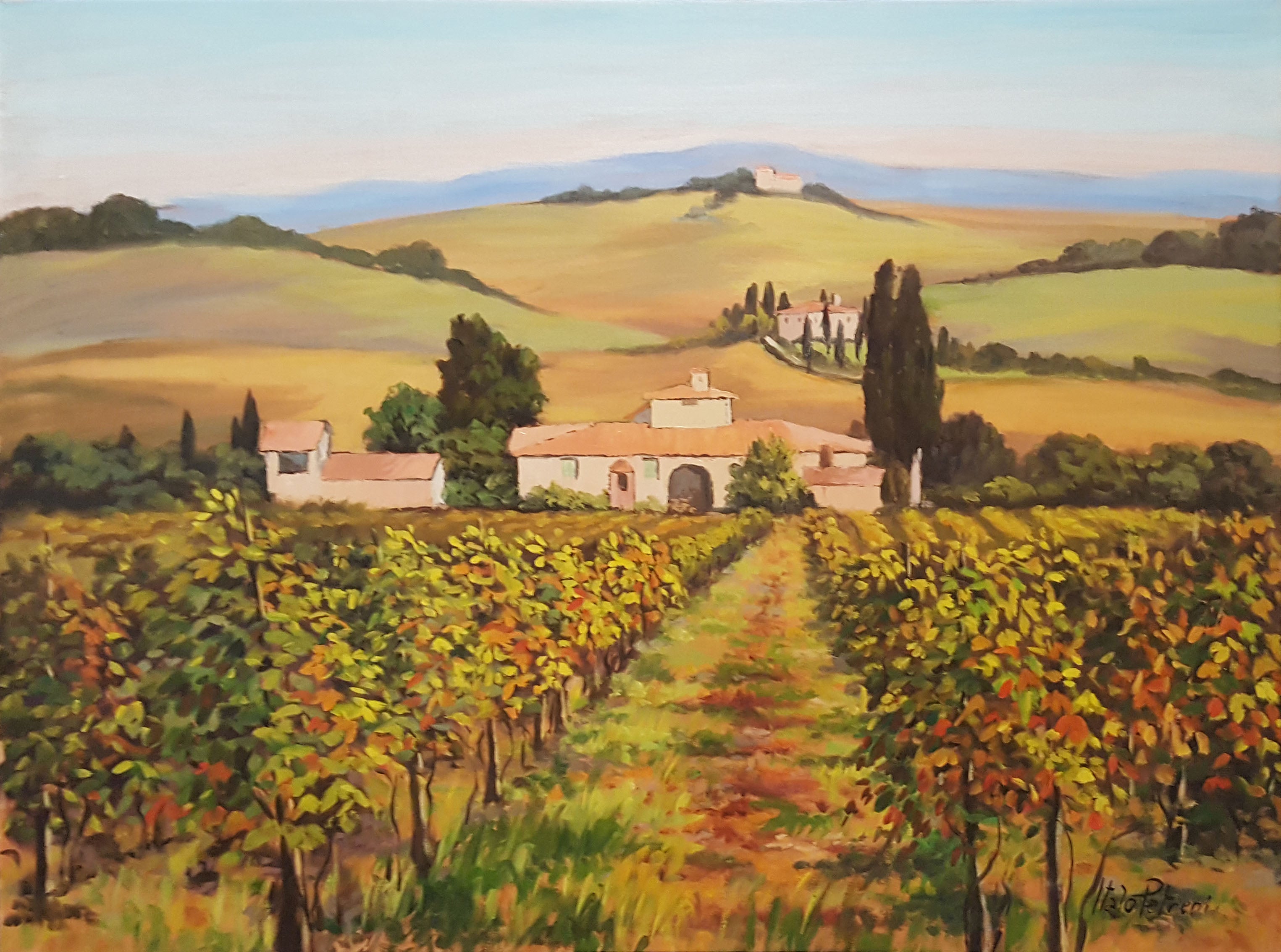 Italo Petreni - Vigneto a Lipozzano