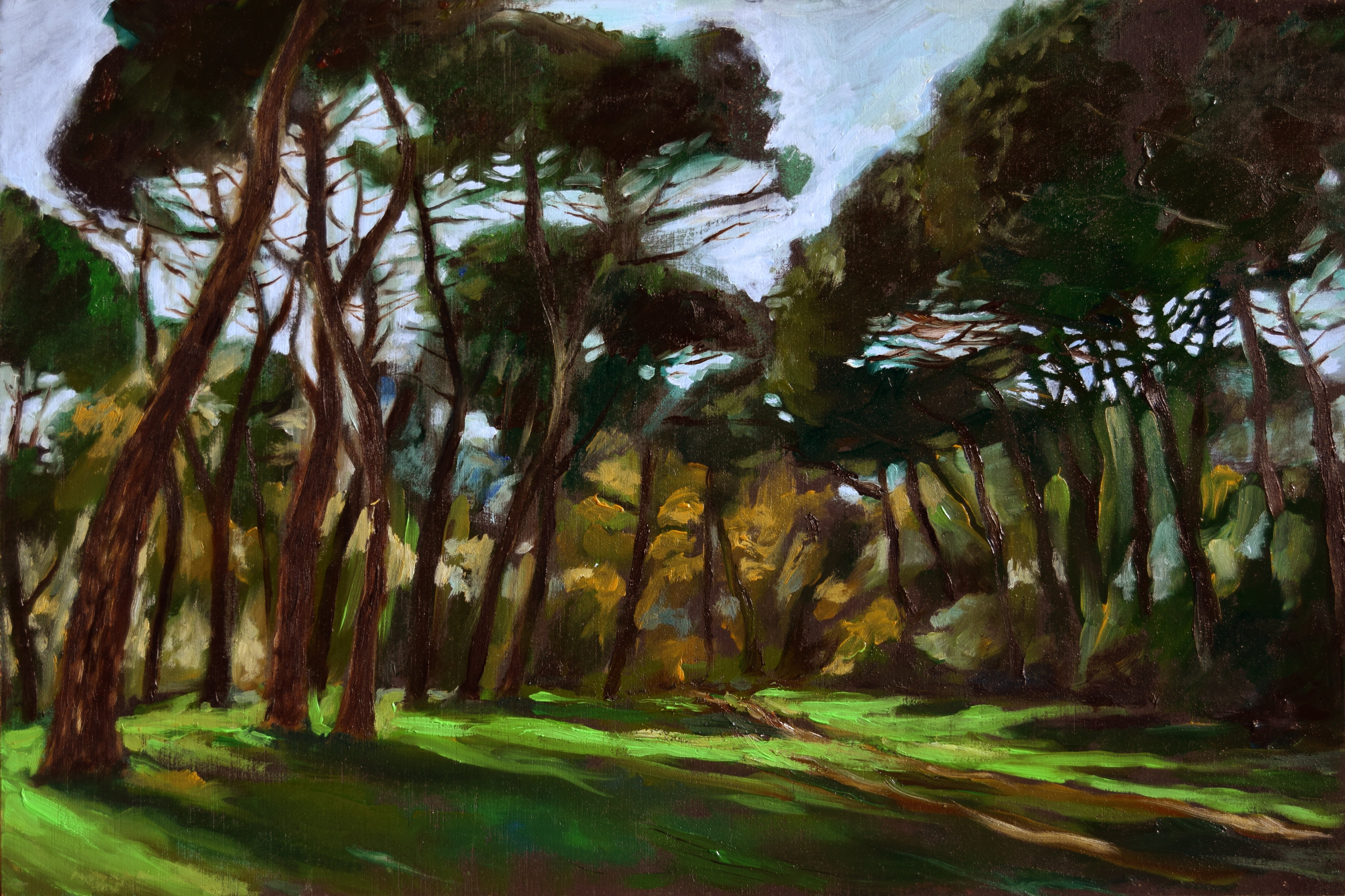 San Vitale Pine Forest