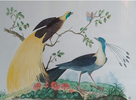 Princesa Luisa Laquio Torlonia - Pavos reales