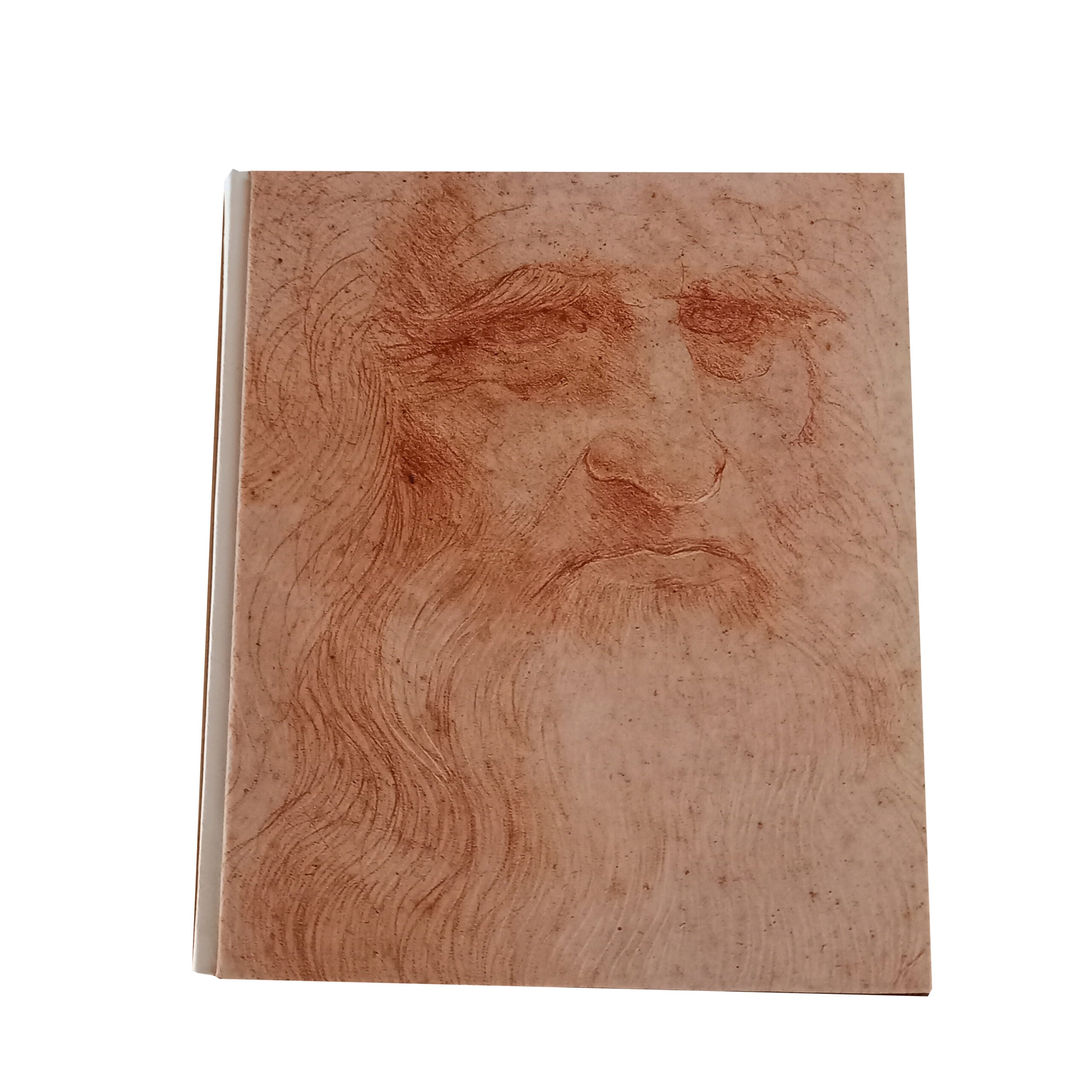 Leonardo - Treccani