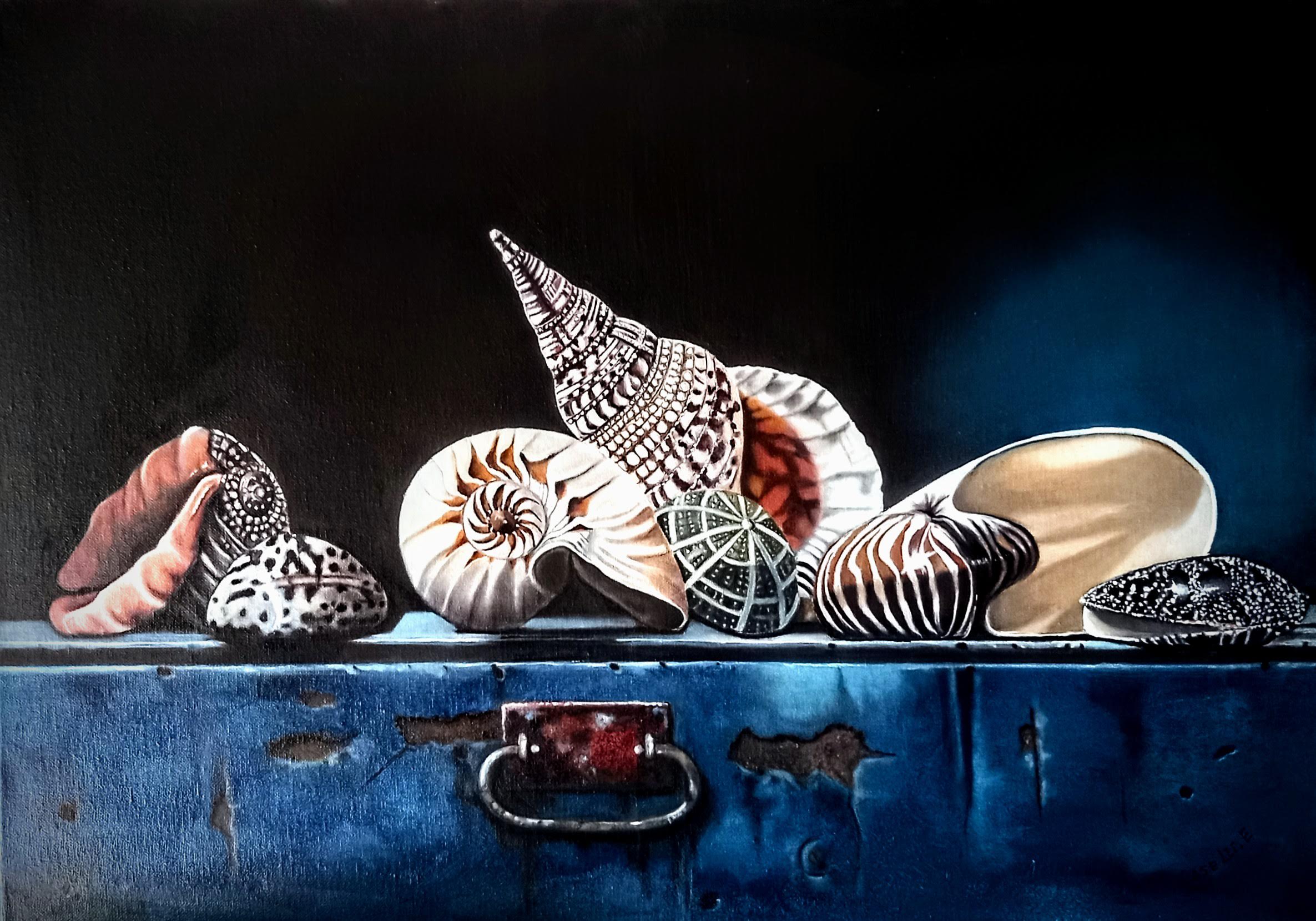 Shells