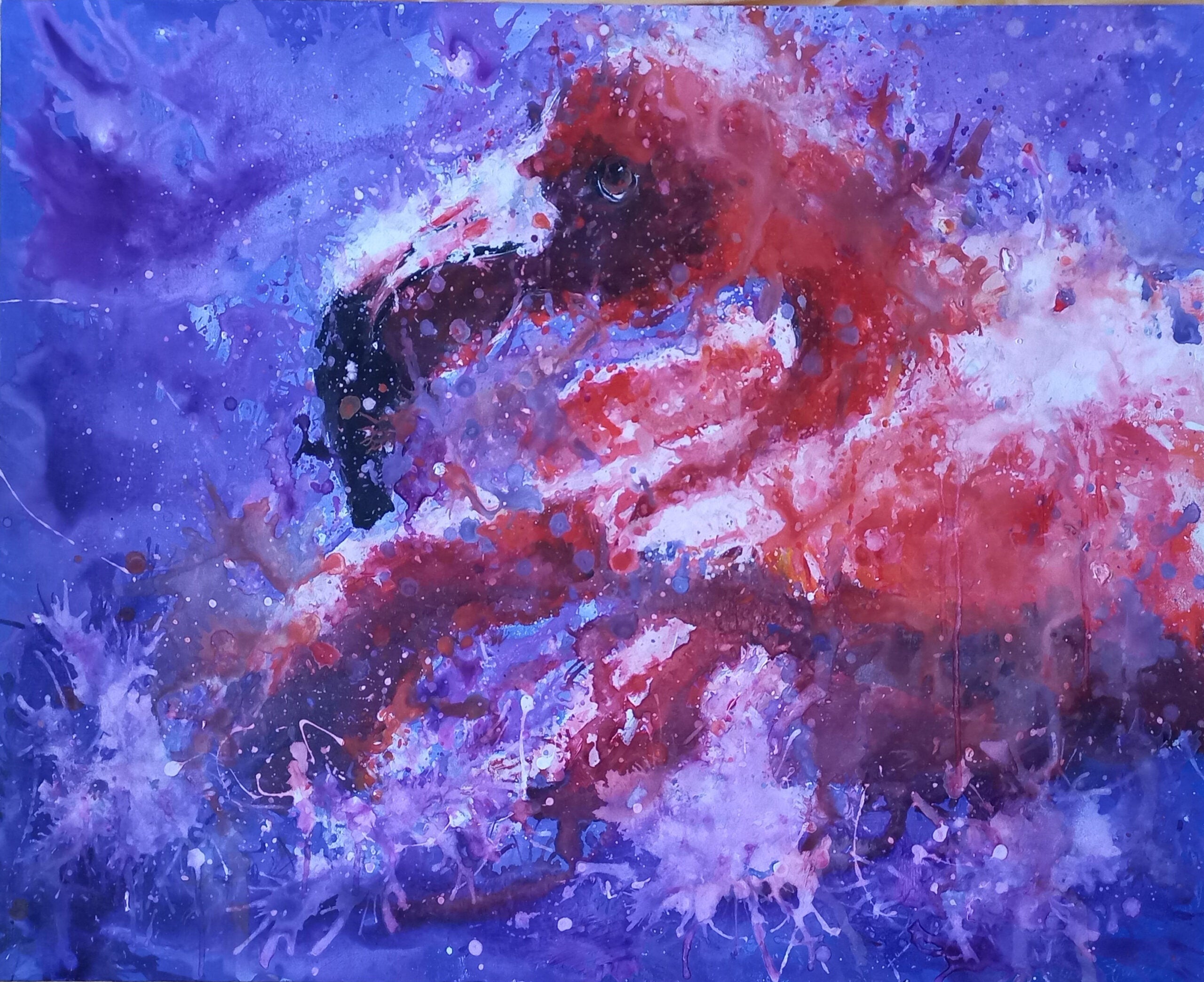 Simona Fumagalli - Flamenco rosado