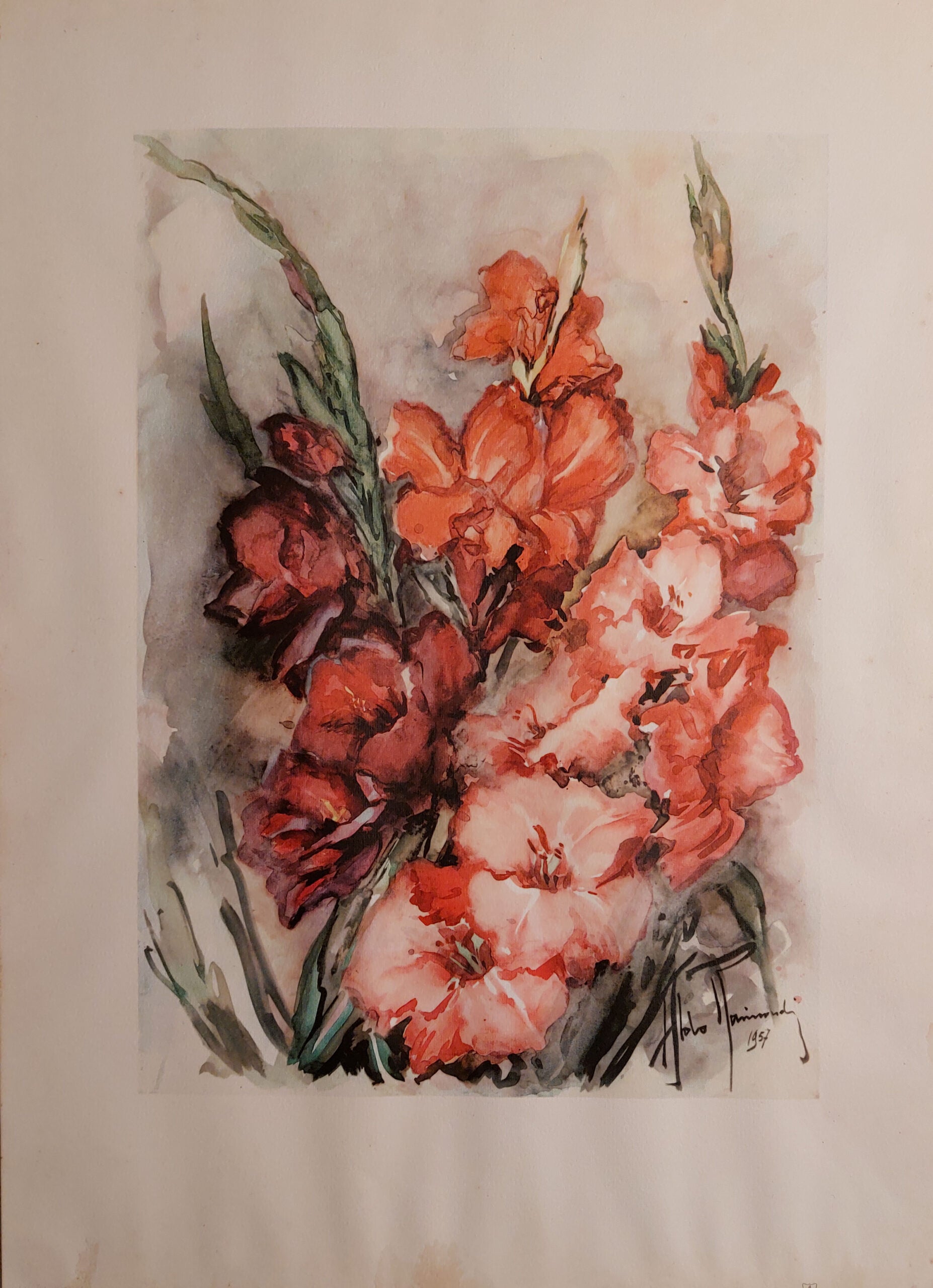 Aldo Raimondi - Sin título (Flores)