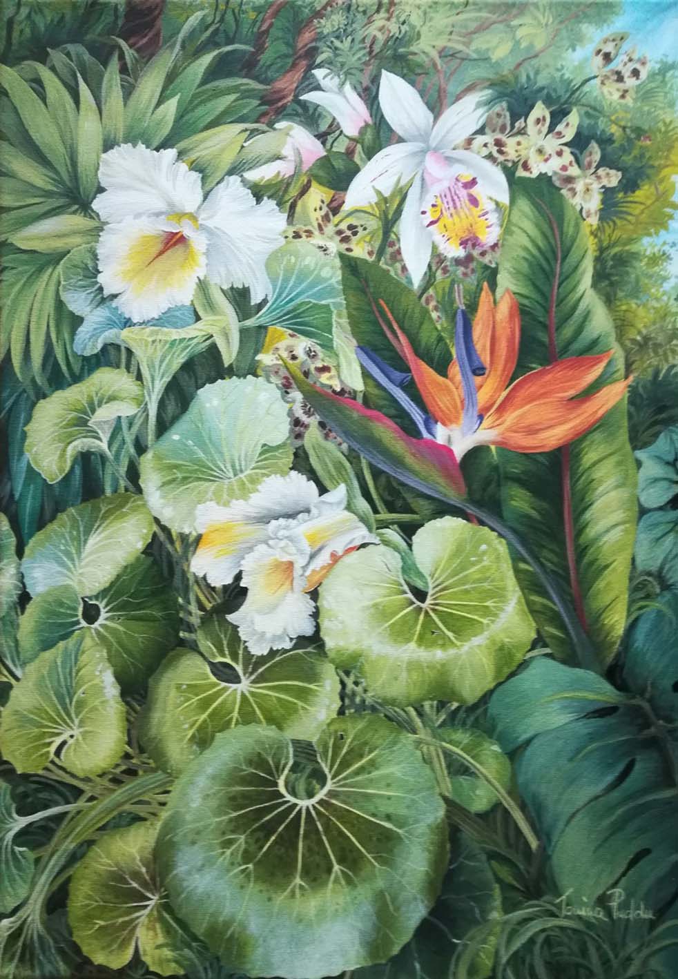 Tonina Puddu - Tropical con Orquídeas