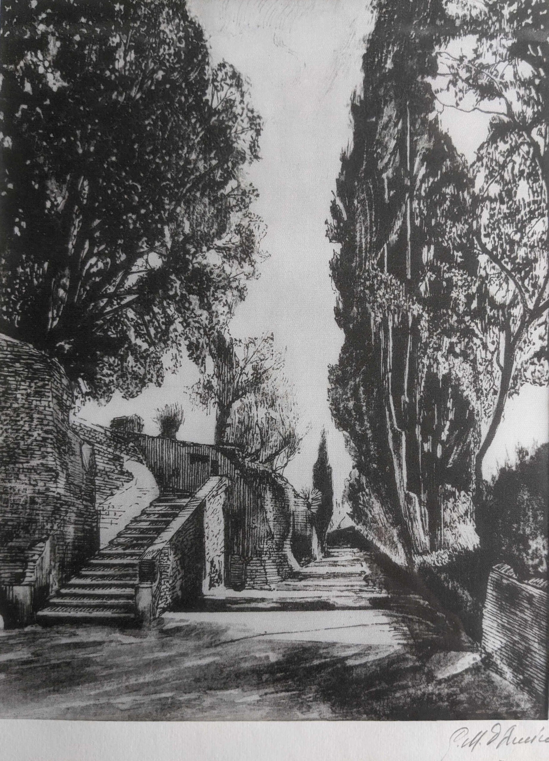 Giuseppe D'Amico - Senza titolo