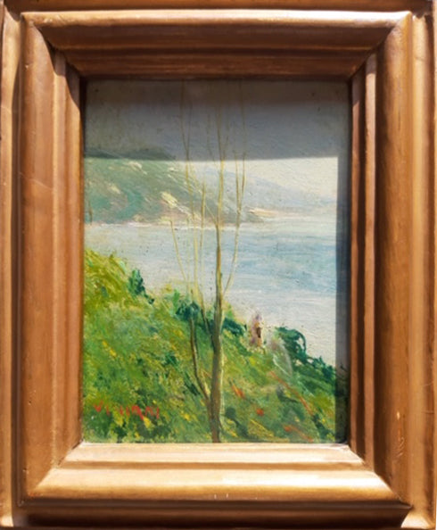 Raul Viviani - Landscape with Coast and Tree
