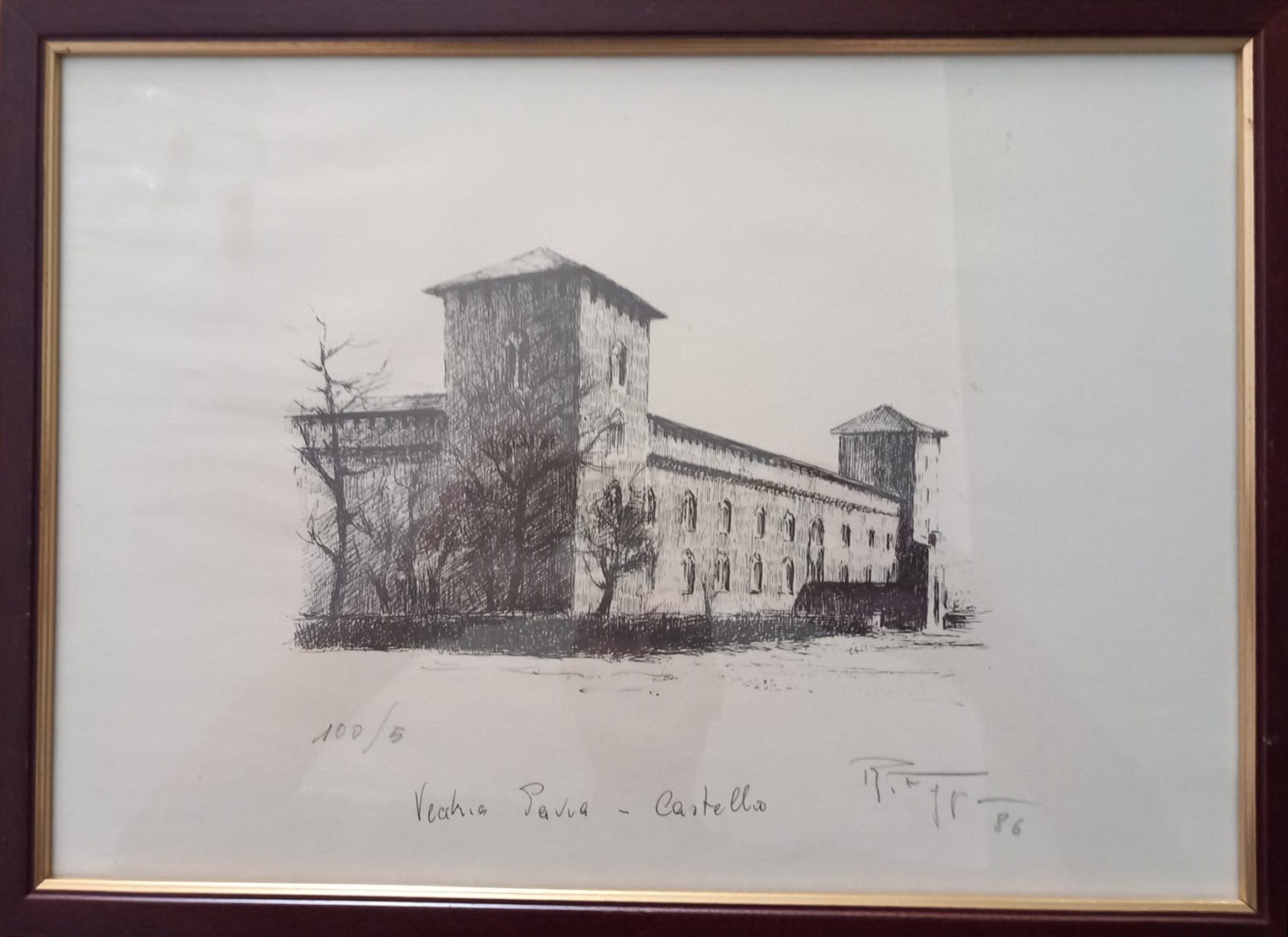 Remo Faggi - Vecchia Pavia (Raccolta di 12 Multipli)