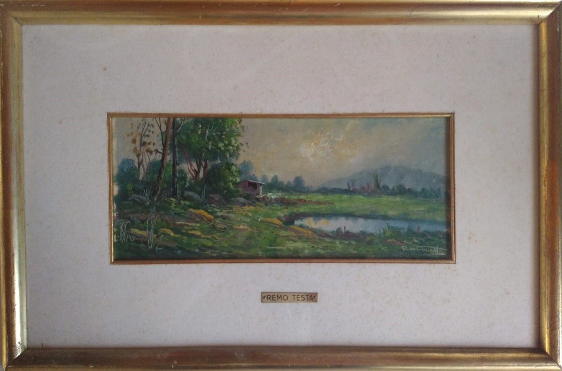 Remo Testa - Paesaggio dai toni freddi