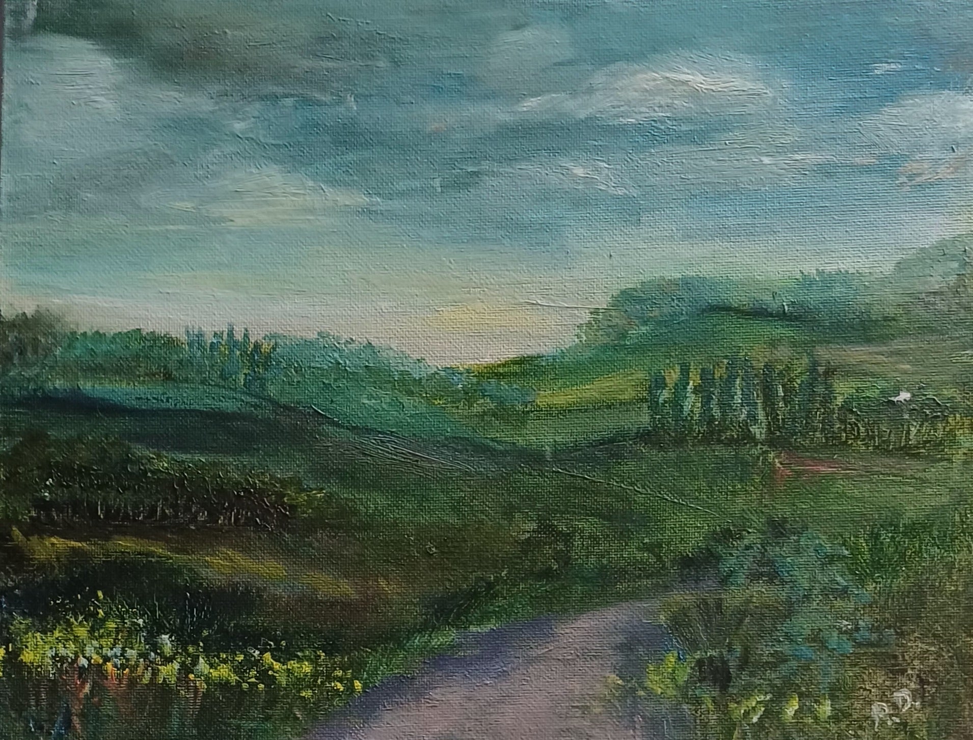 Landscape near home
