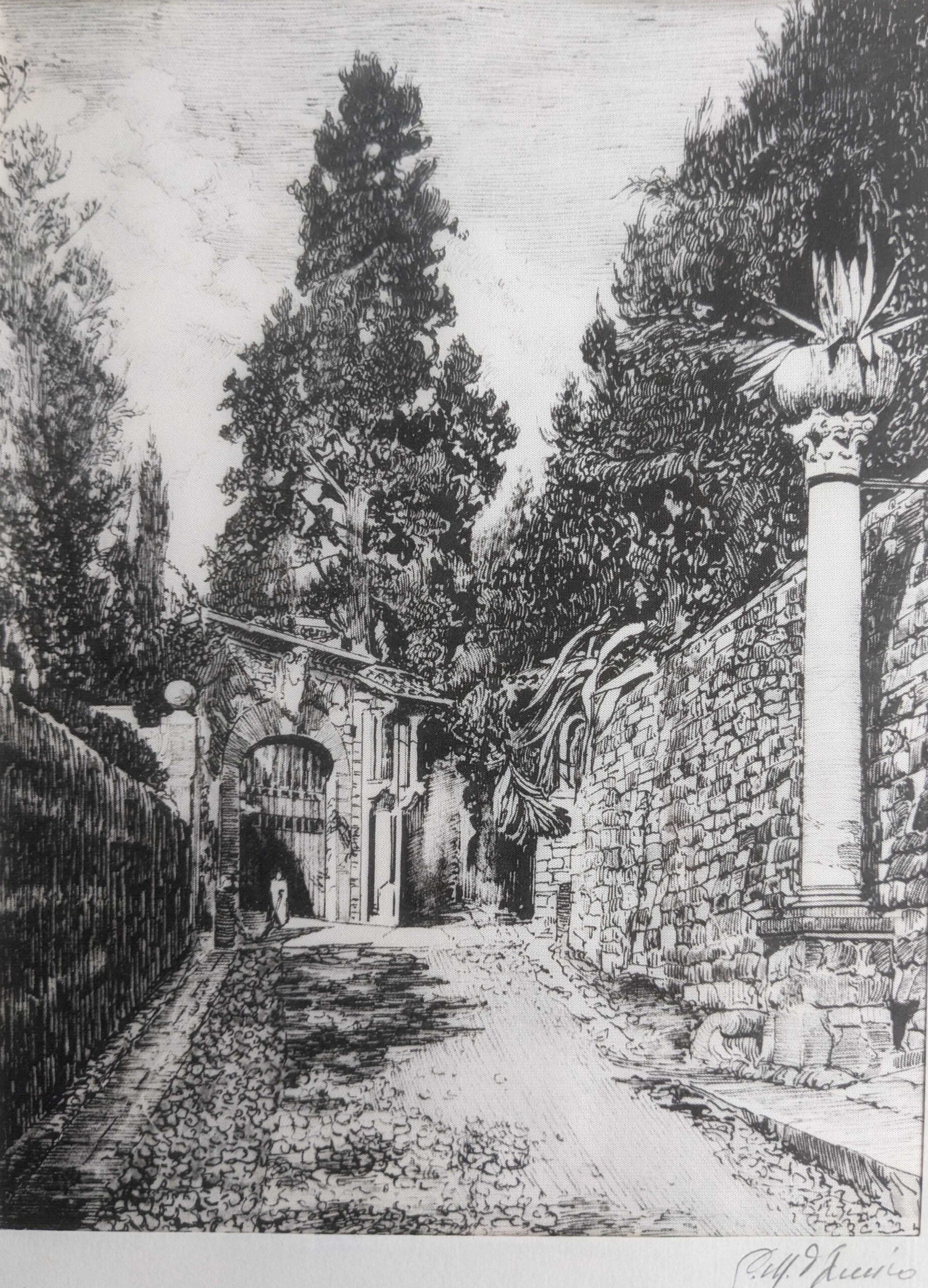 Giuseppe D'Amico - Senza titolo