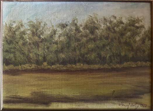 Paesaggio orizzontale, olio su tela di D'Onofrio
