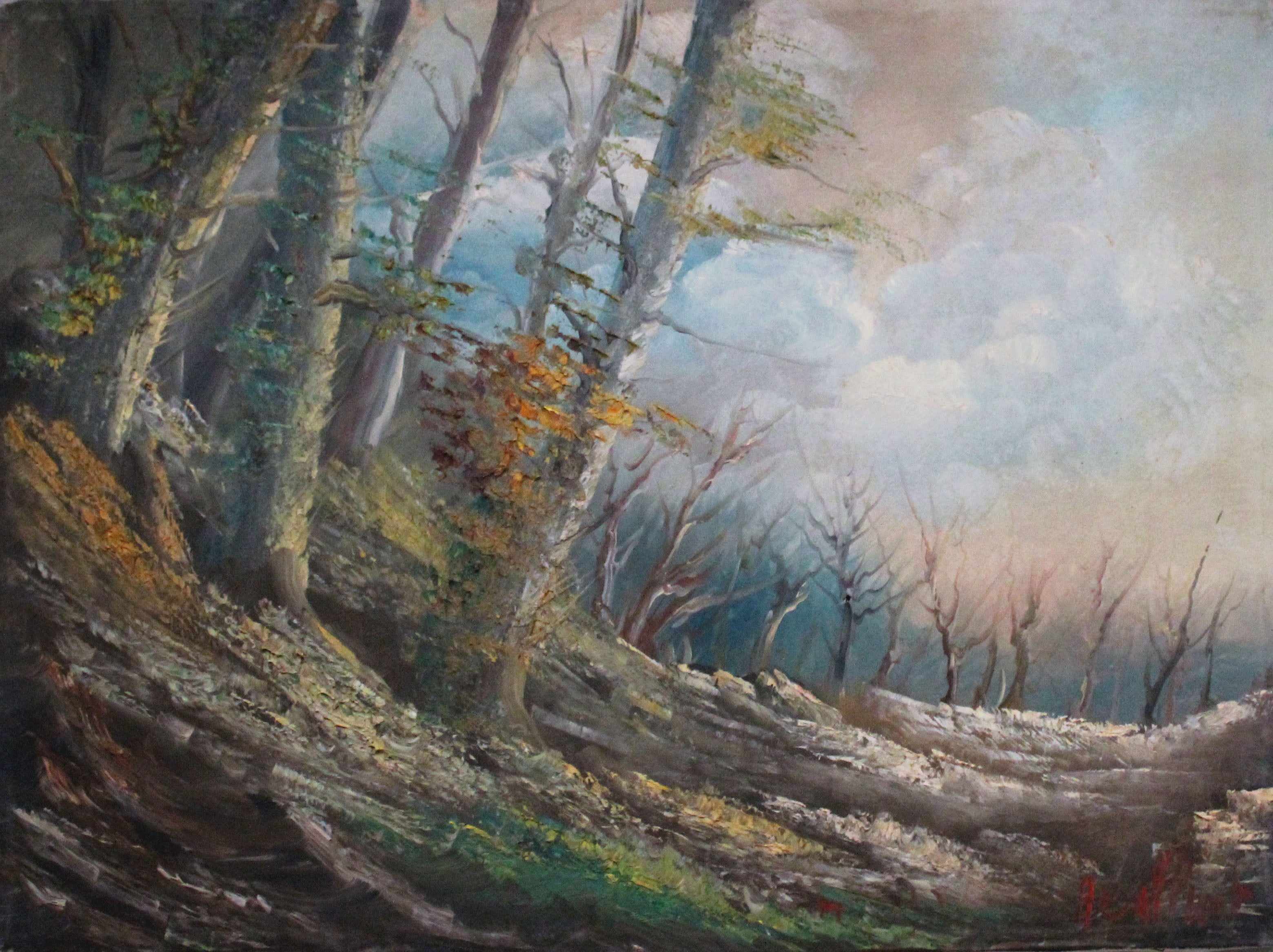Armando Ballanti - Landscape