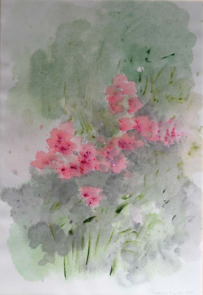 Franco Vivian - Arbusto con rododendros