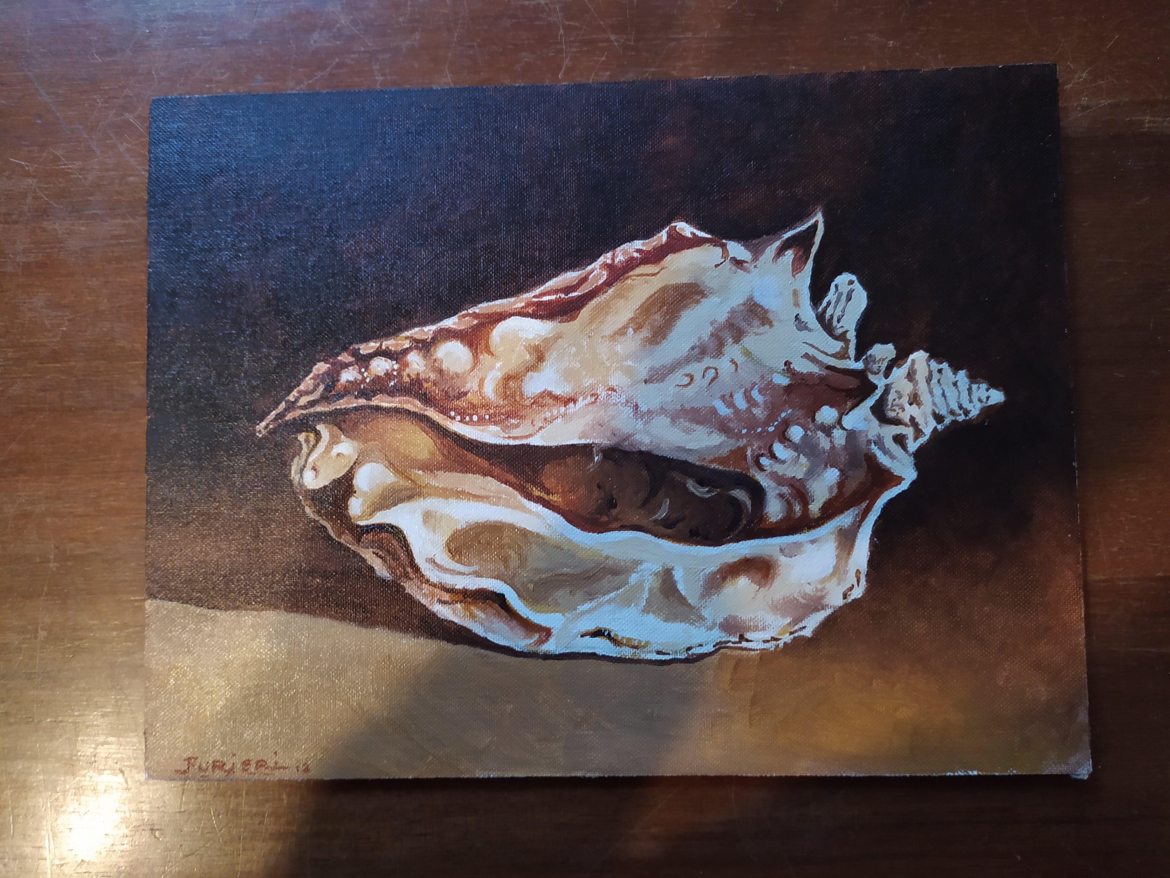 shell
