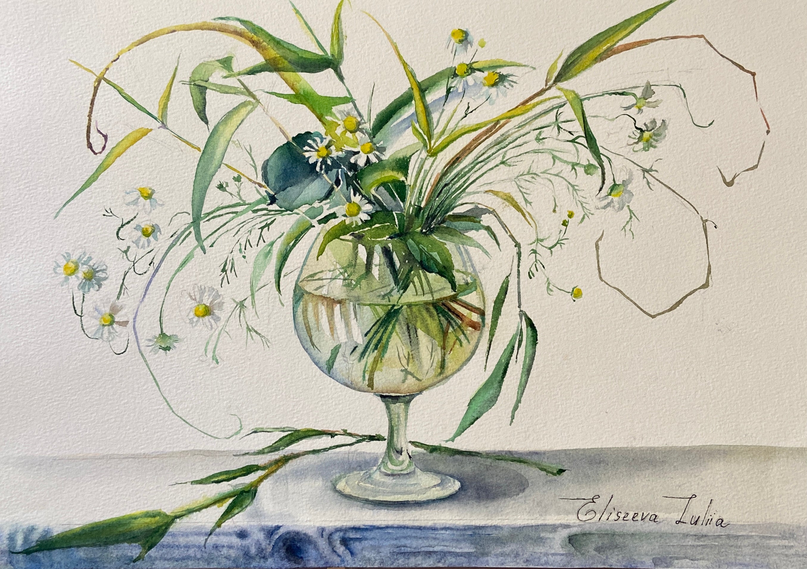 Fiori selvatici