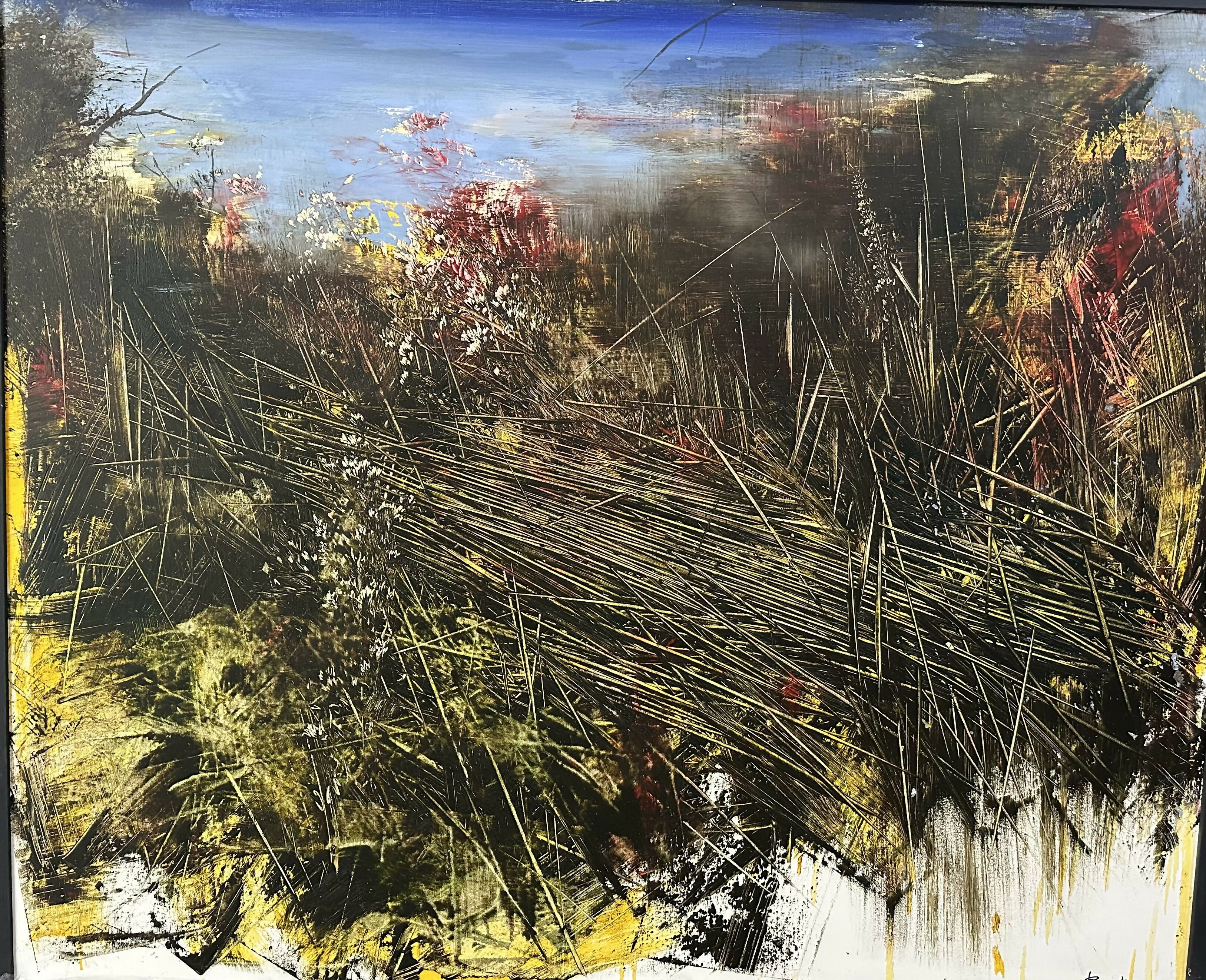Marshy - Antonio Pedretti