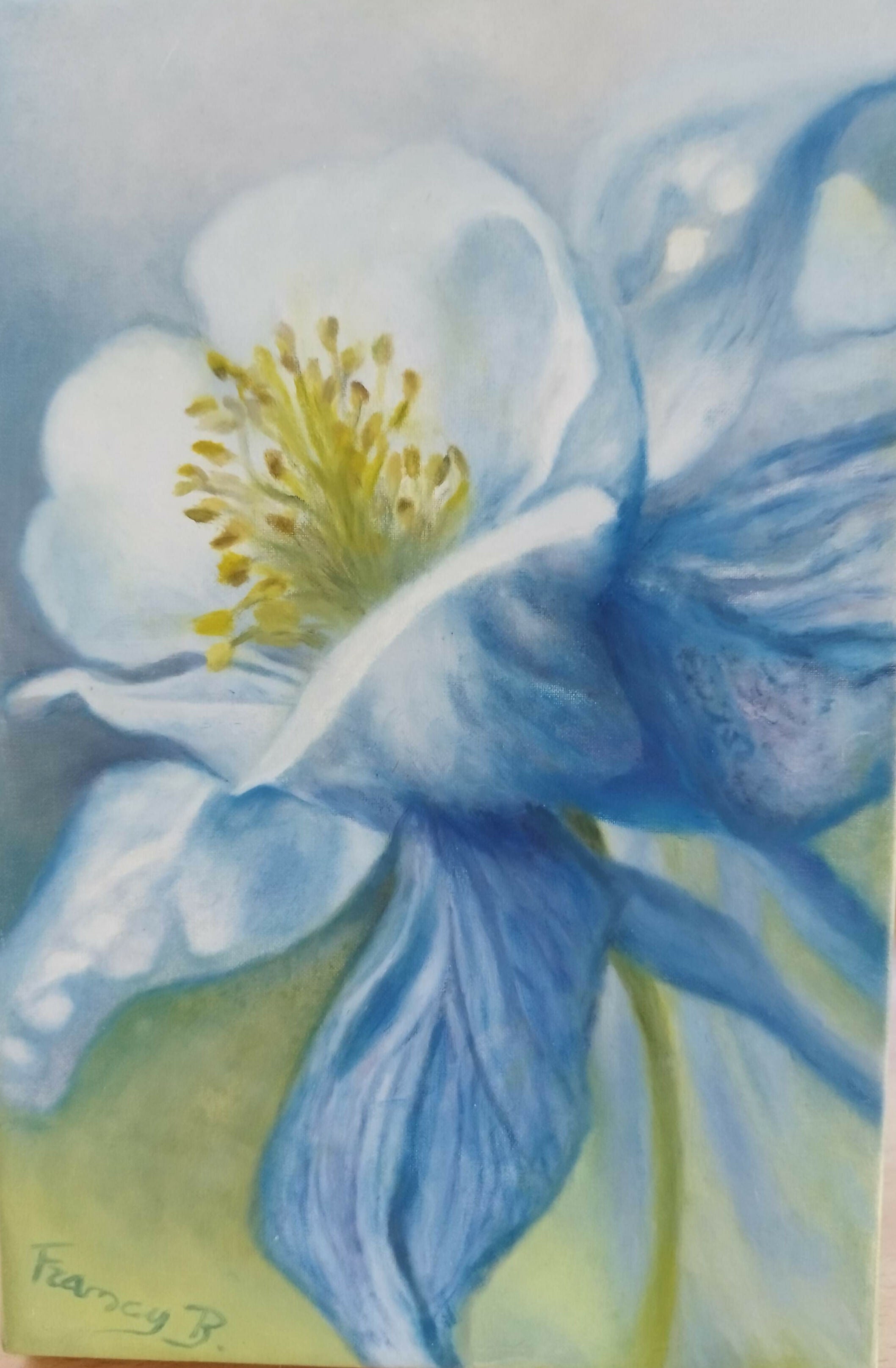 Farfalla Danzante e Fiore Aquilegia – Acrilico e olio su tela – Francesca Bausilio