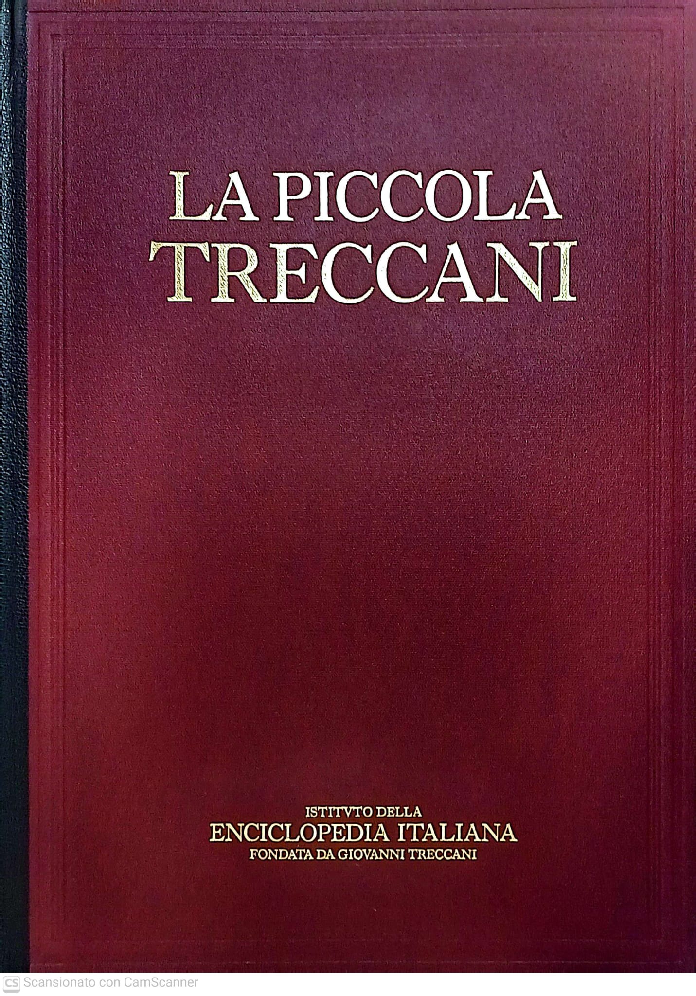 La Piccola Treccani