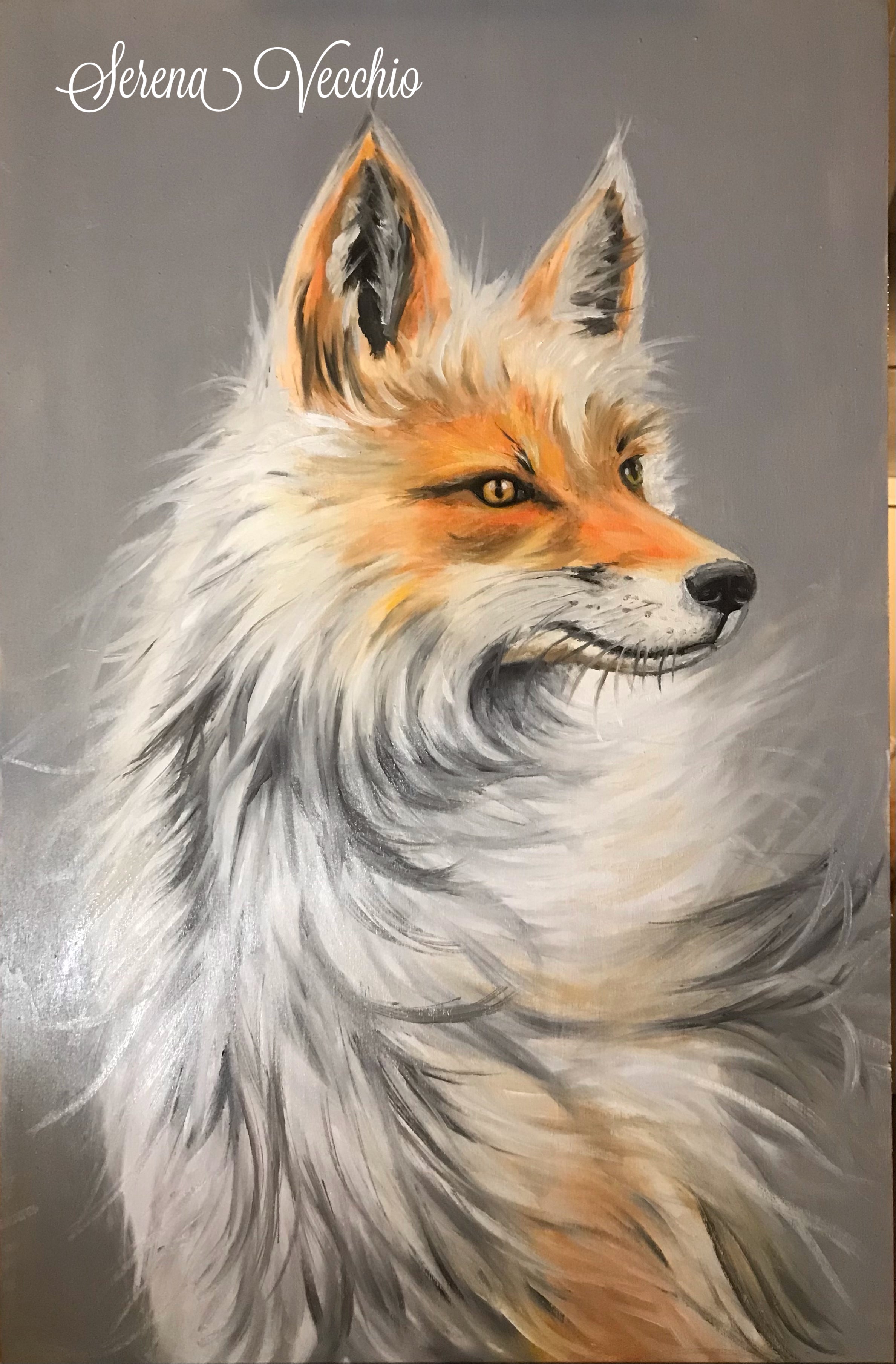 Siberian fox