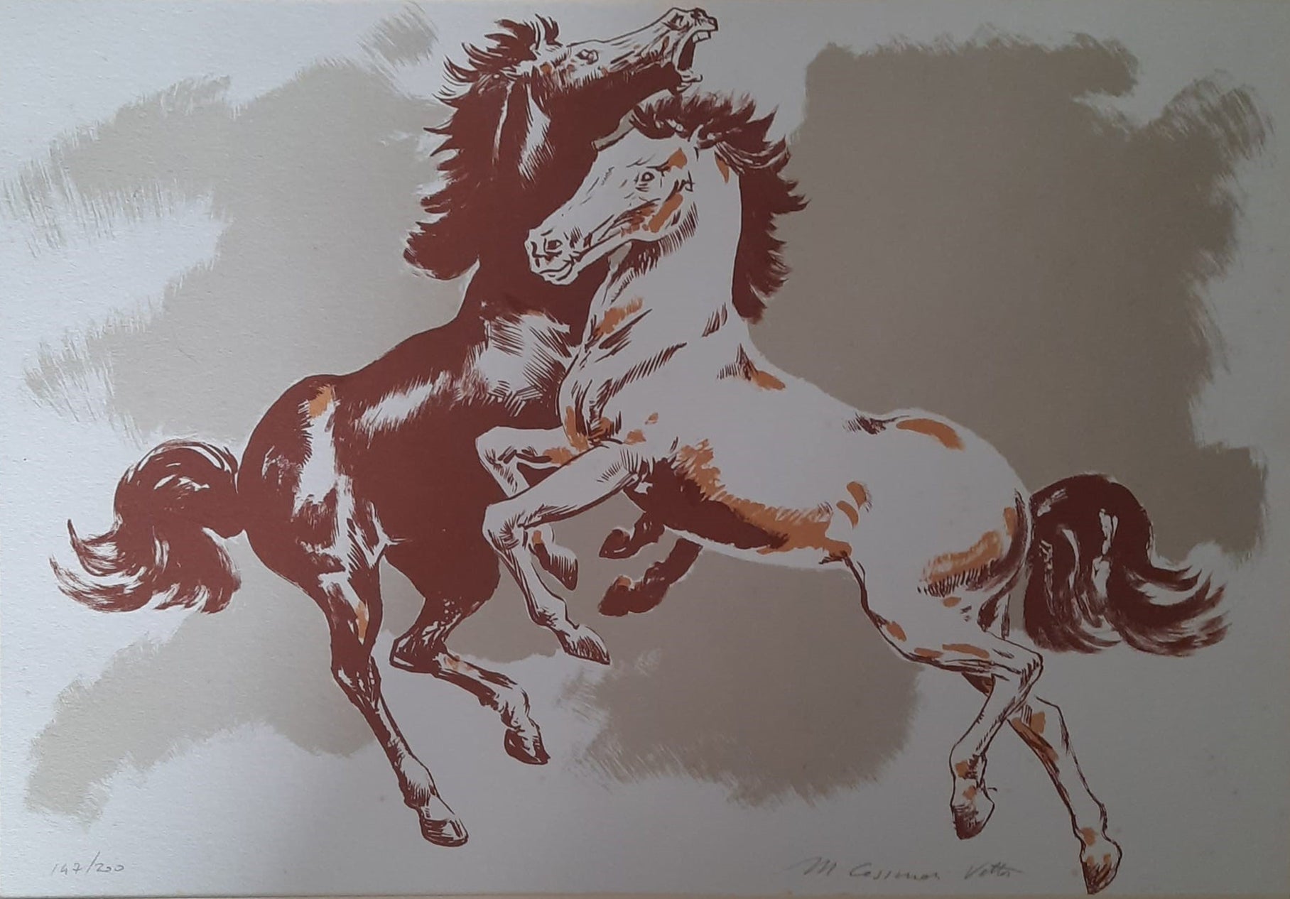 Cassarini - Horses