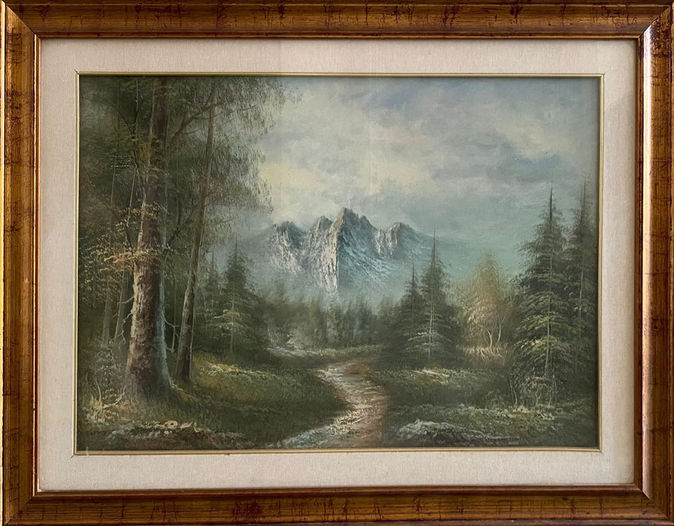Valerio Mauri - Paisaje alpino