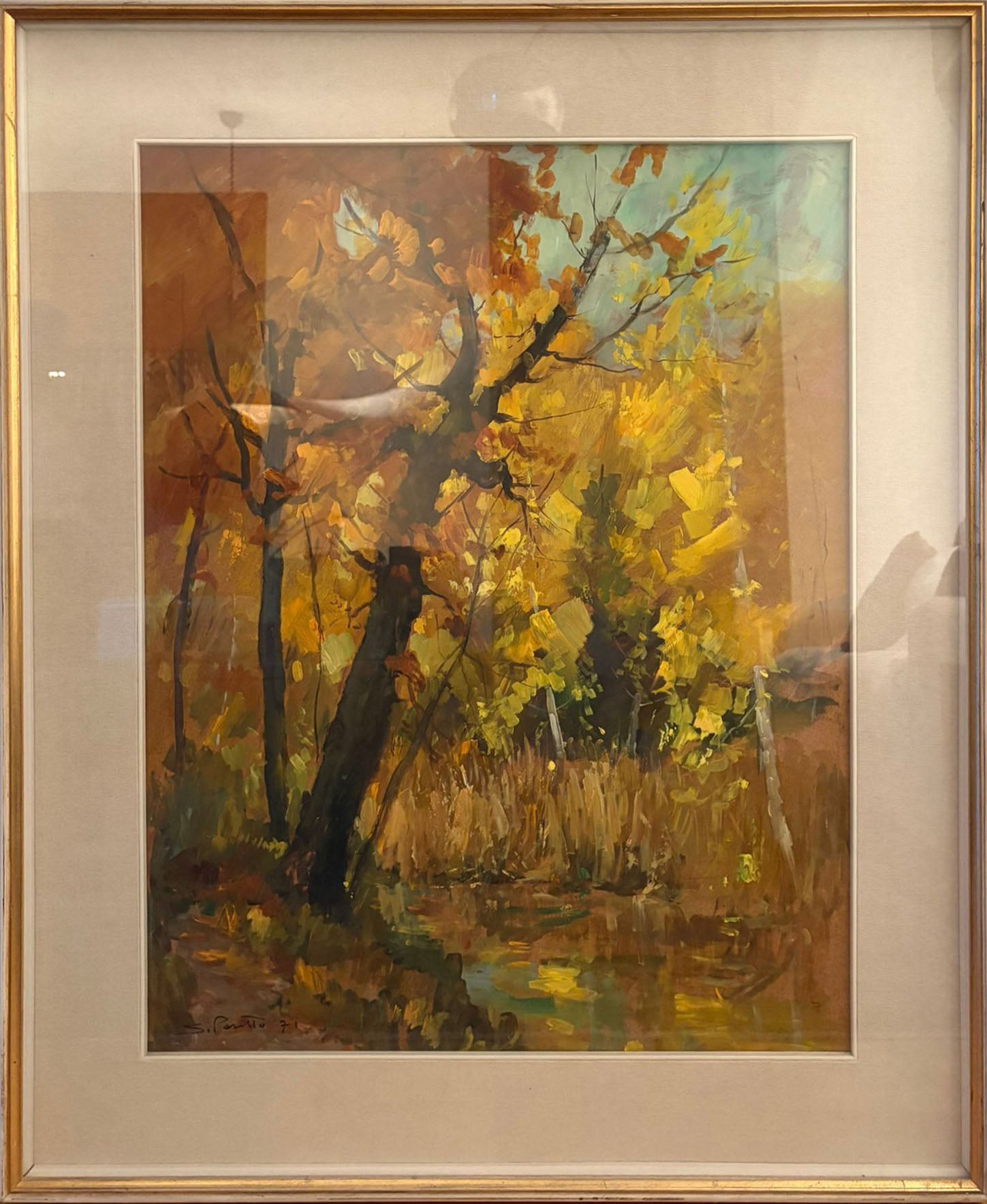 Sergio Pasetto - Untitled (Trees)