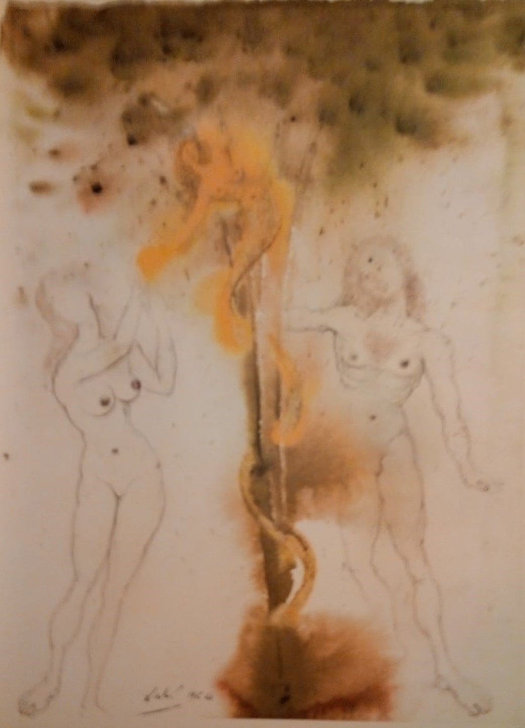 Salvador Dalí - Untitled