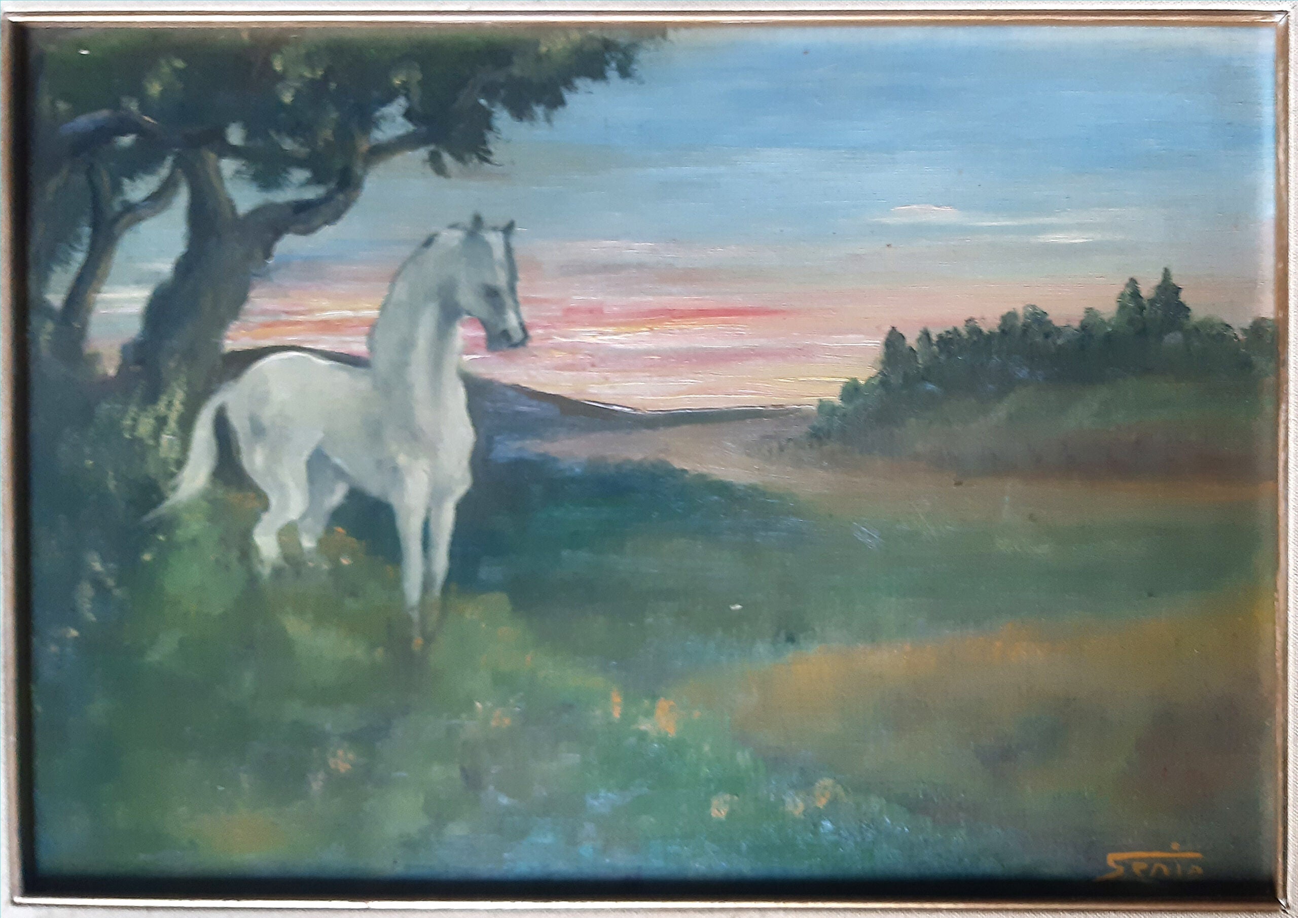 Senio Pratesi - Paisaje con un caballo blanco