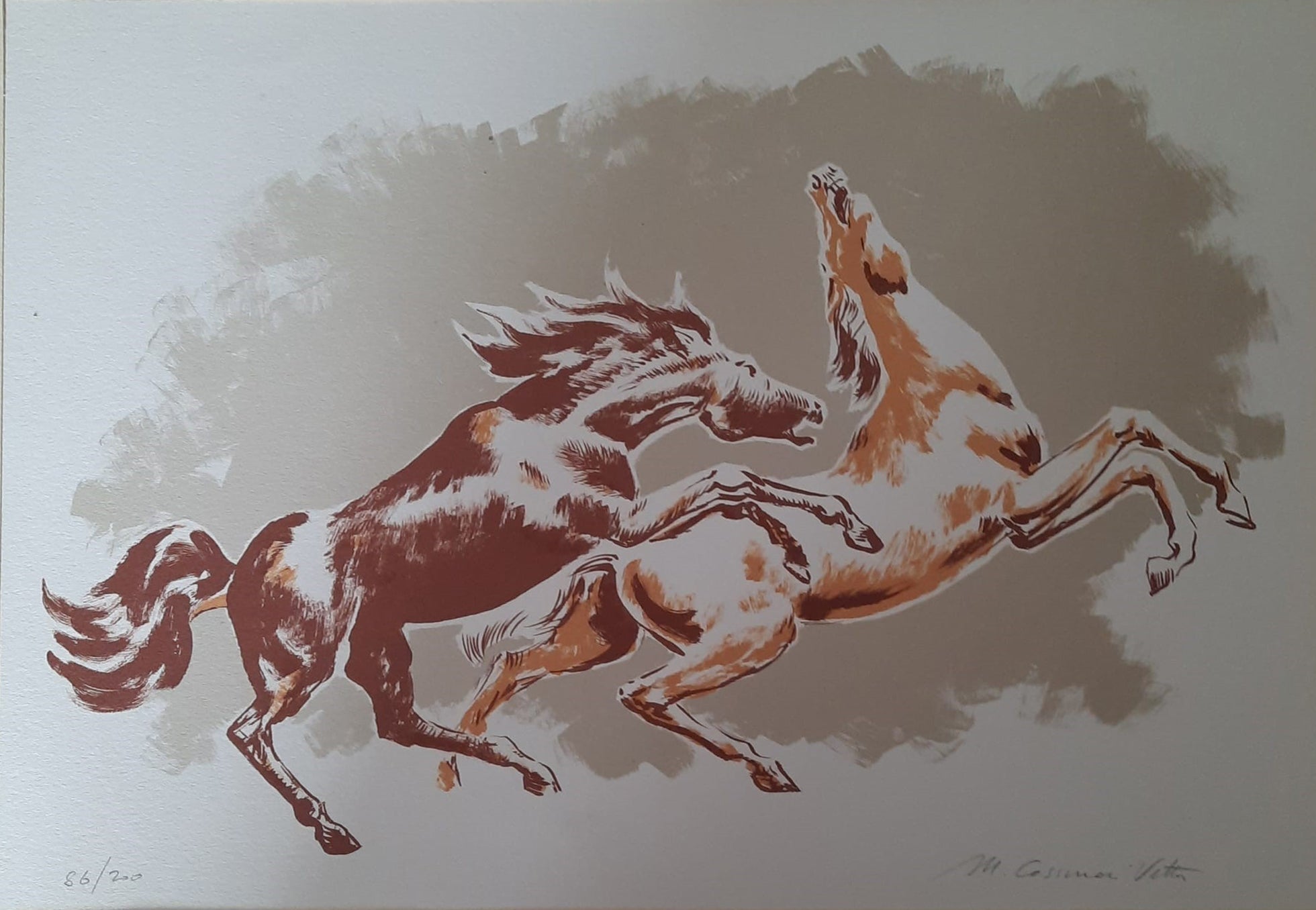 Cassarini - Horses