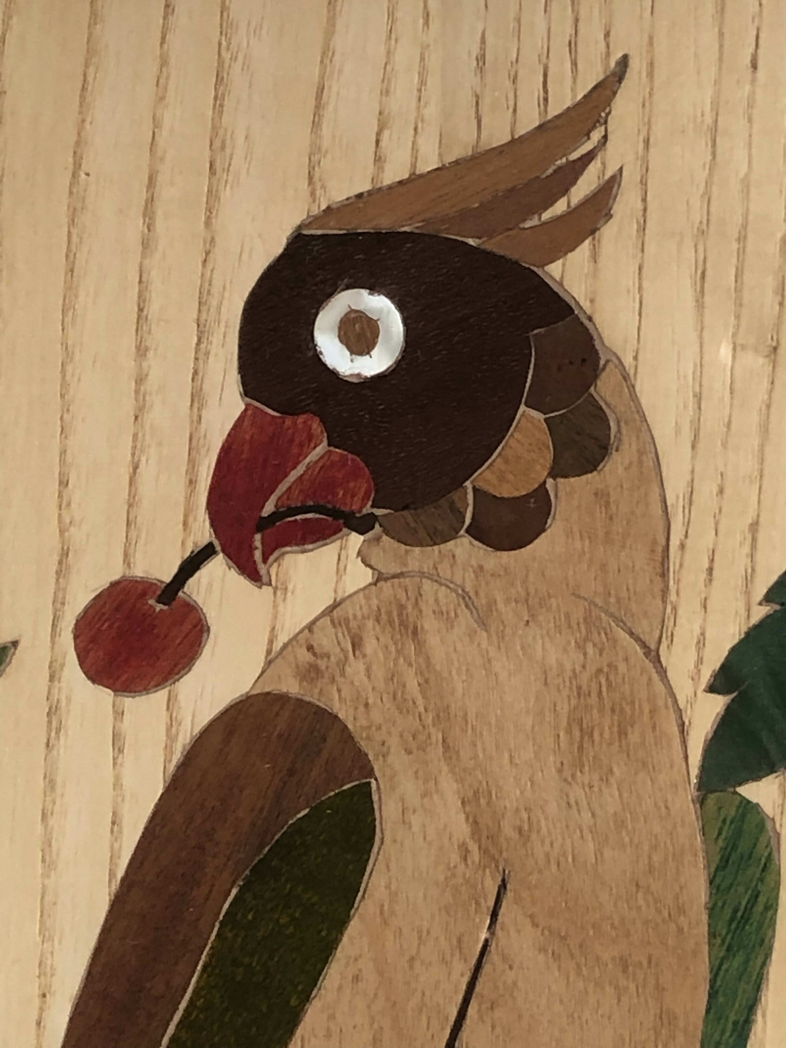 Guacamayo Guacamayo